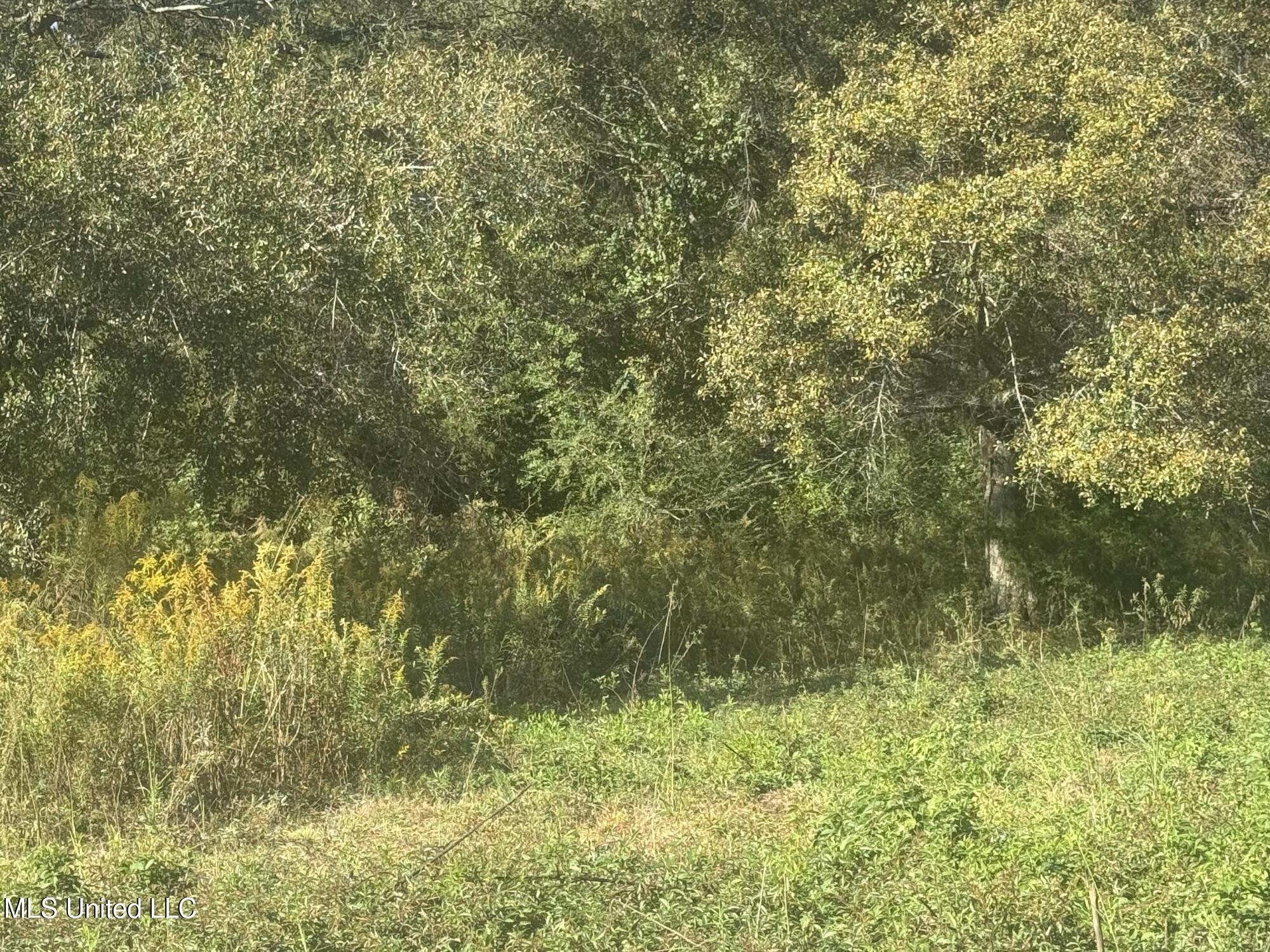 No E Integrity Road Property Photo 2