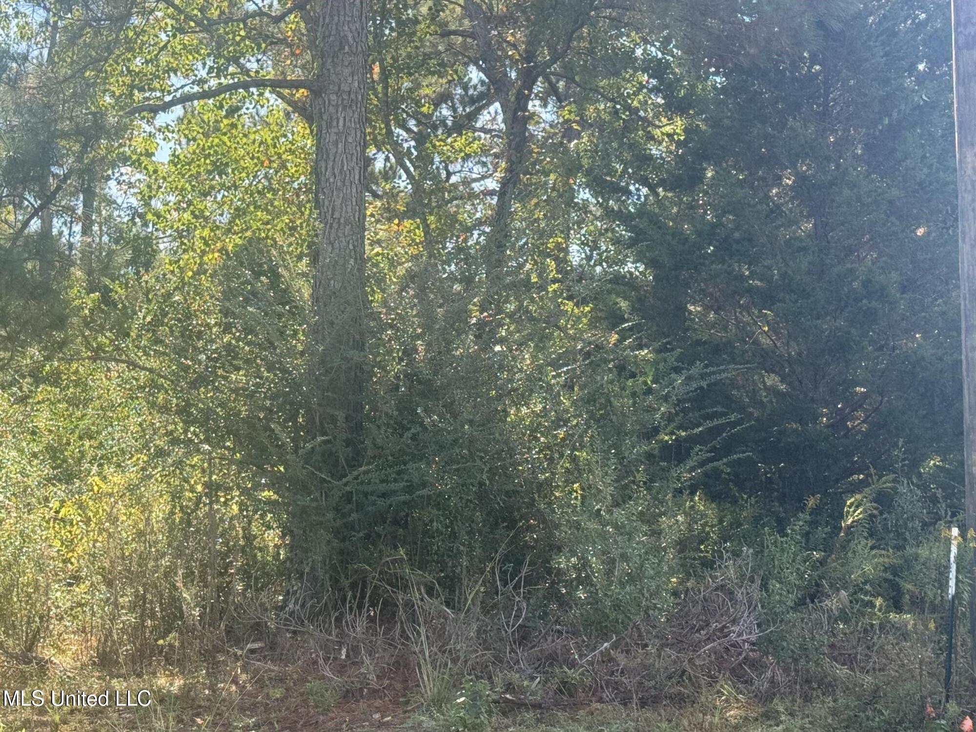 No E Integrity Road Property Photo 3