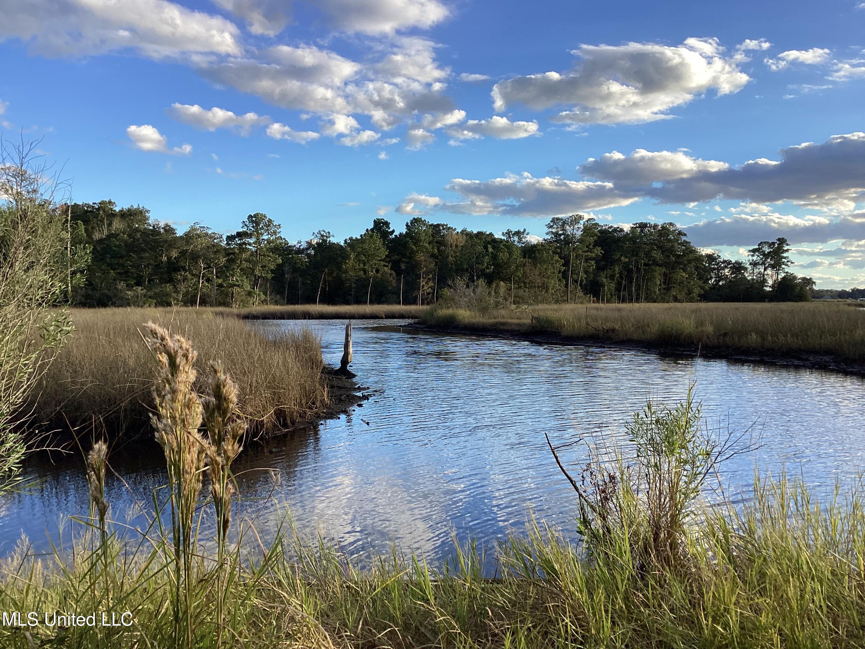 4437 Brentz Lane Property Photo 2