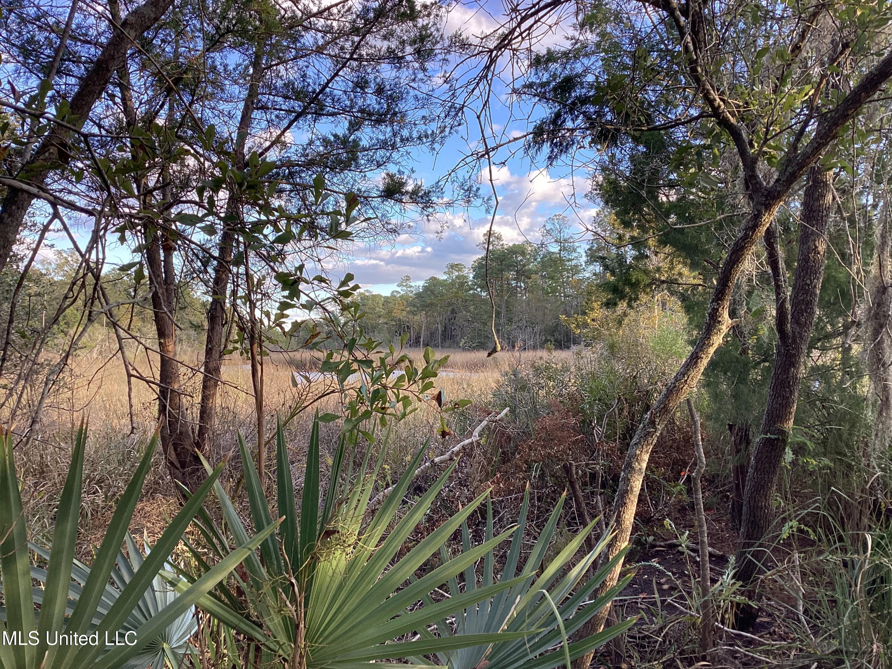 4437 Brentz Lane Property Photo 3