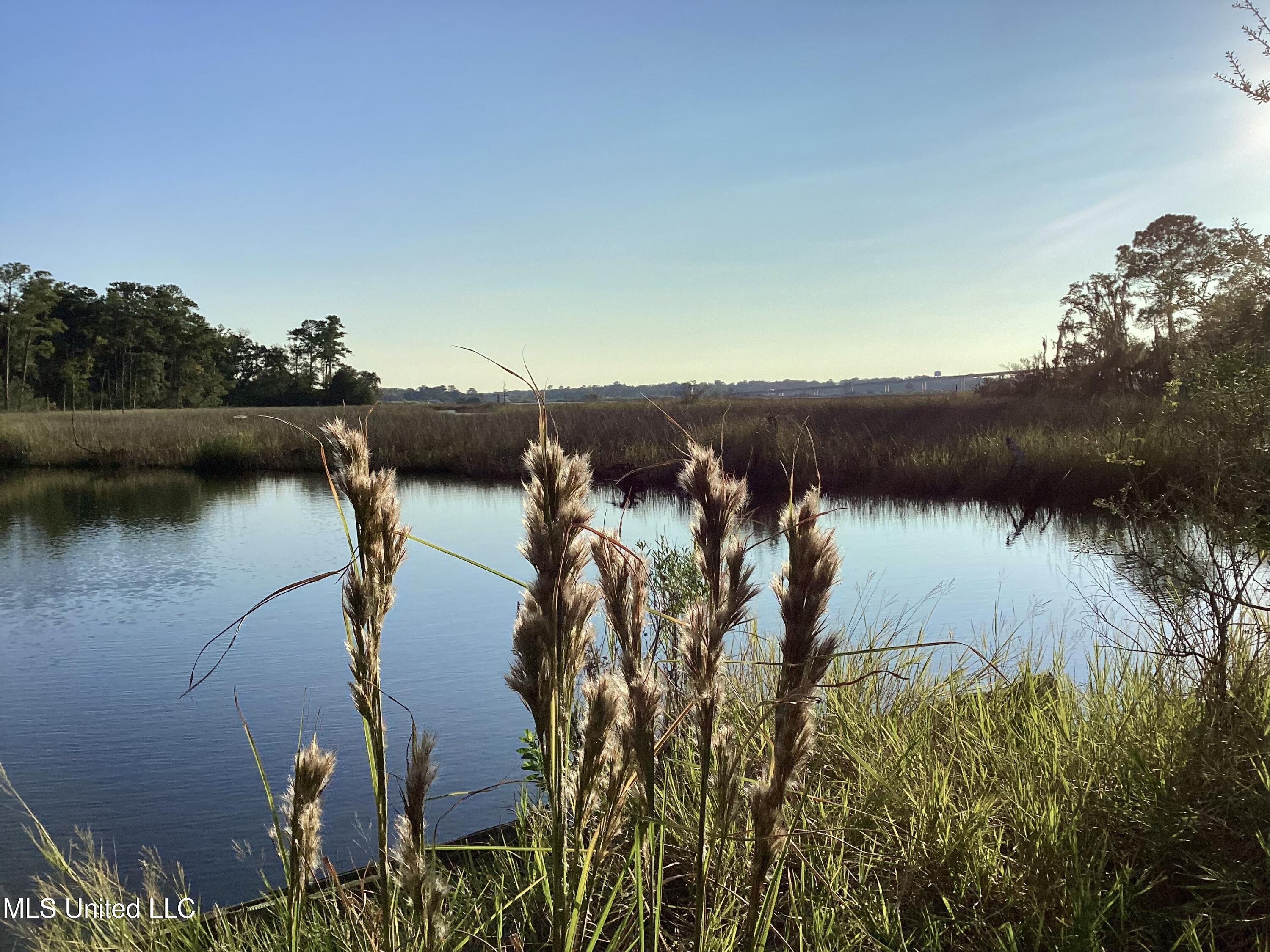 4437 Brentz Lane Property Photo 5