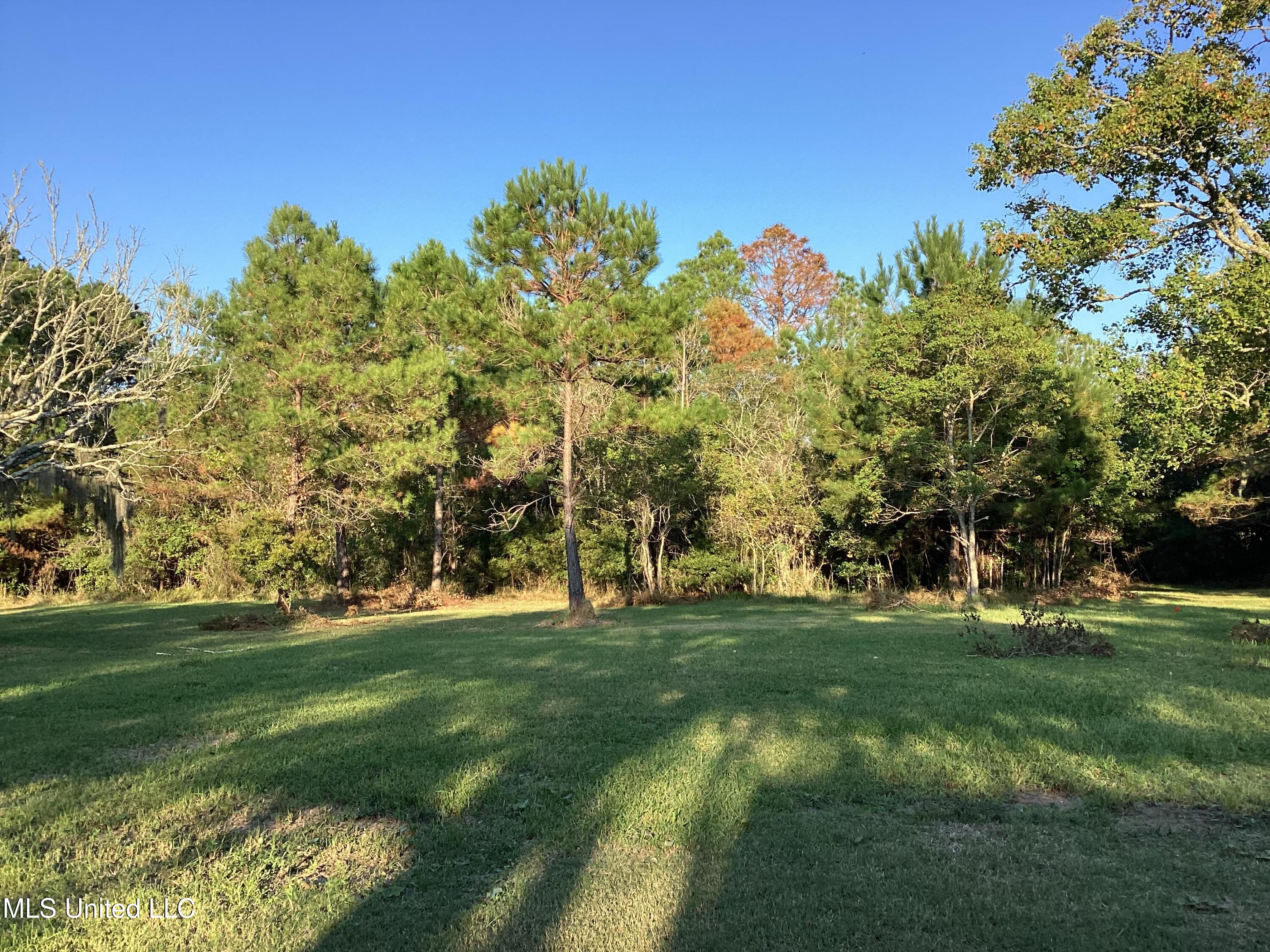 4437 Brentz Lane Property Photo 7