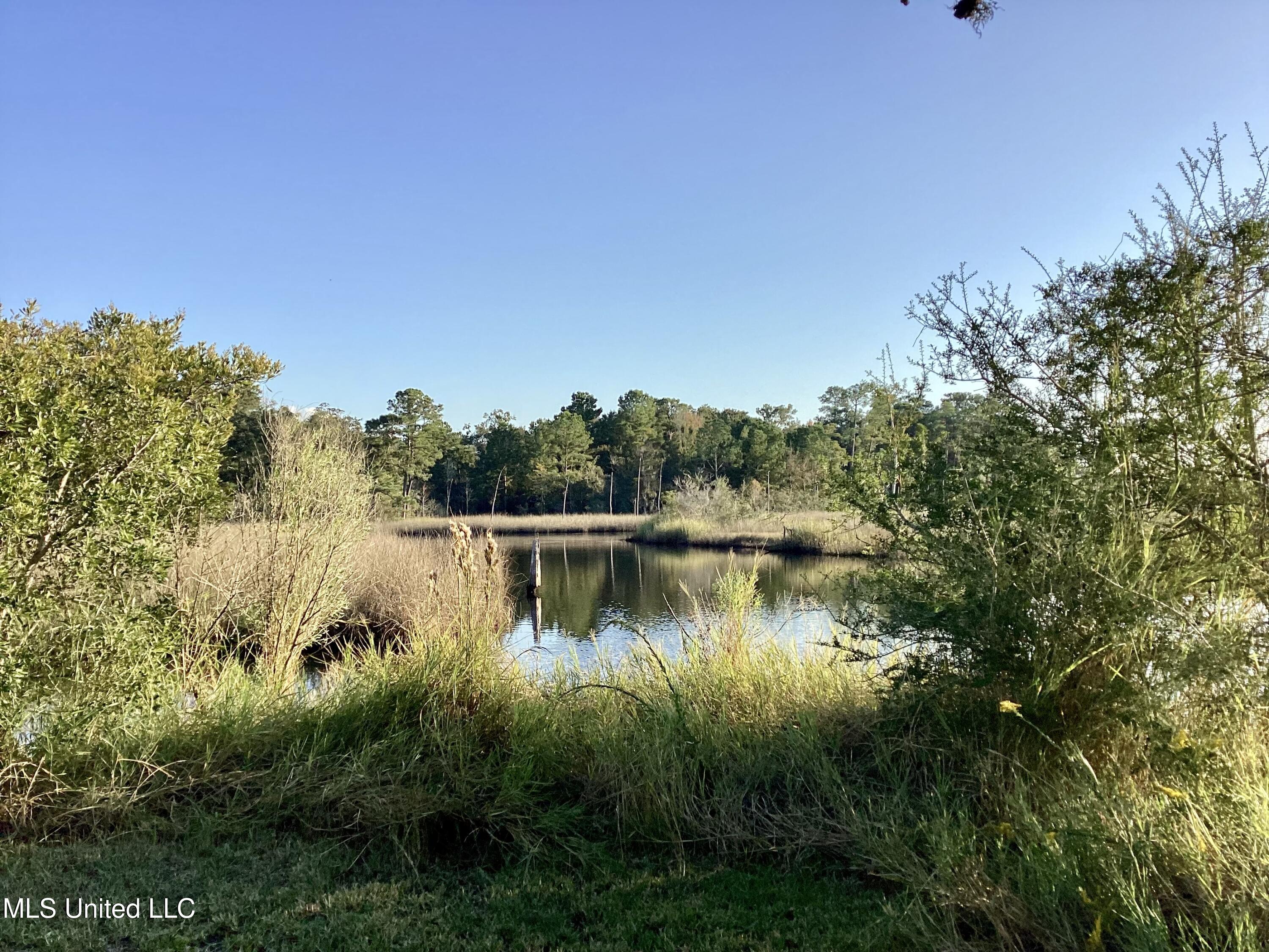 4437 Brentz Lane Property Photo 8