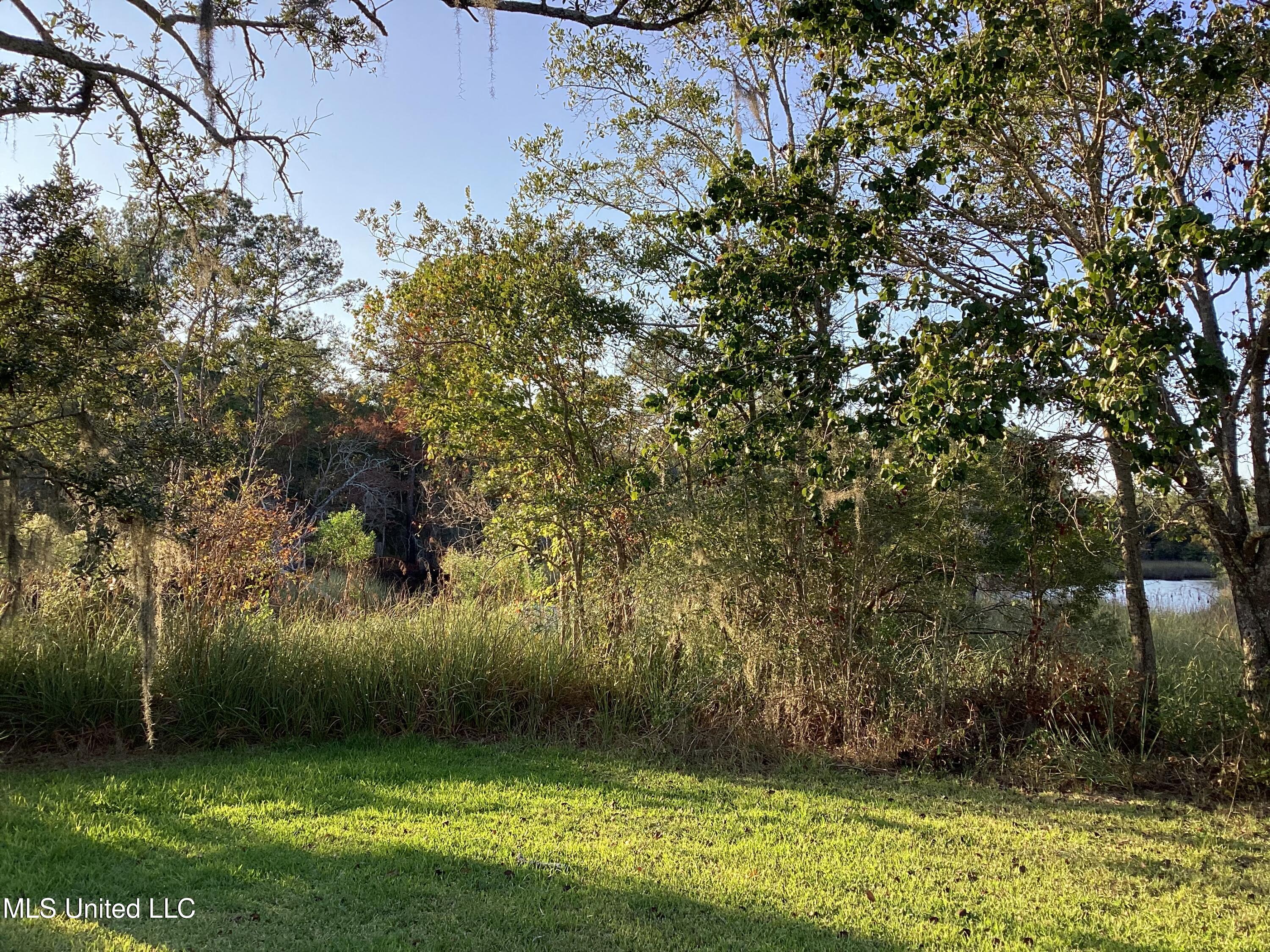 4437 Brentz Lane Property Photo 10