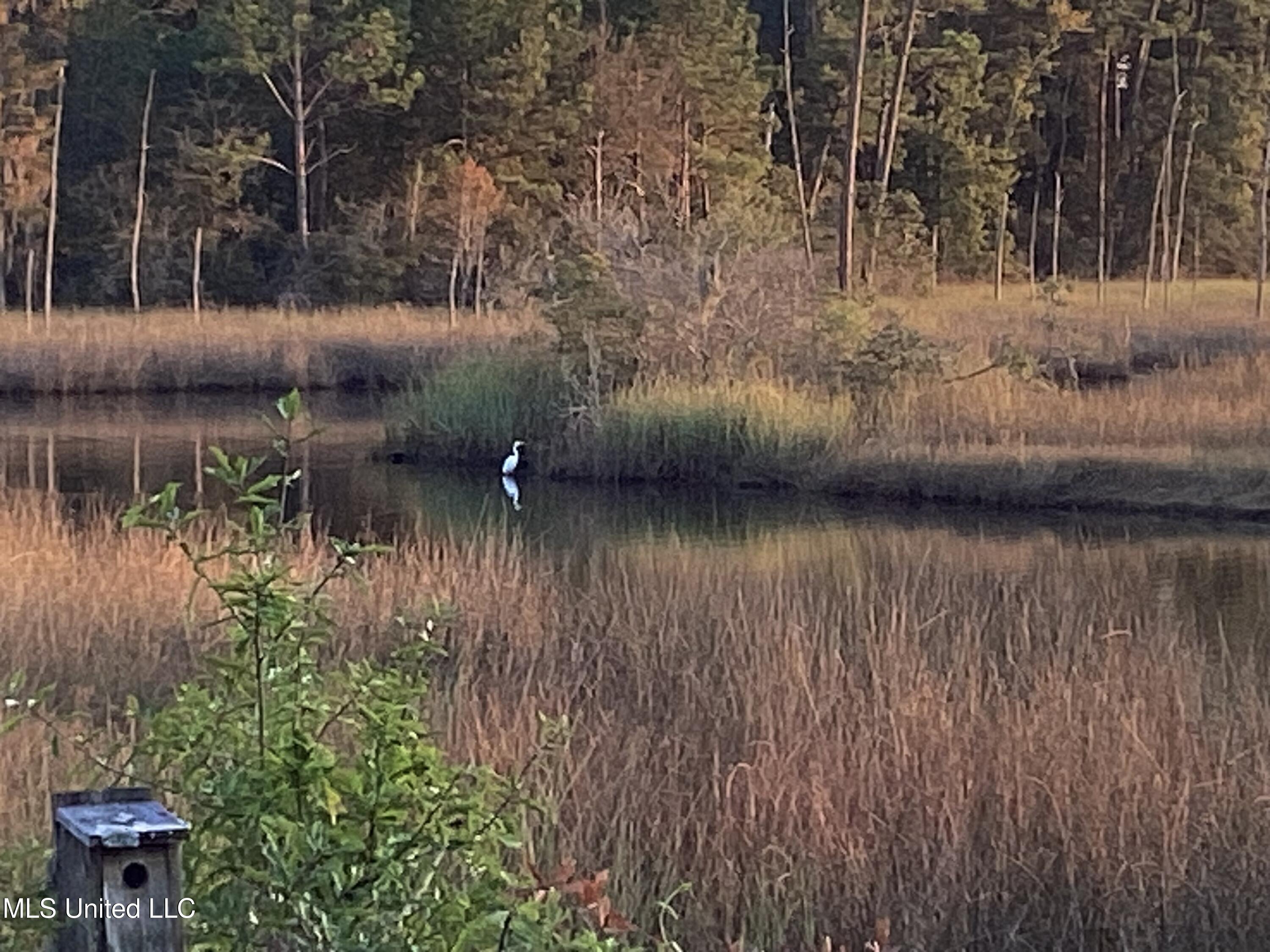 4437 Brentz Lane Property Photo 11