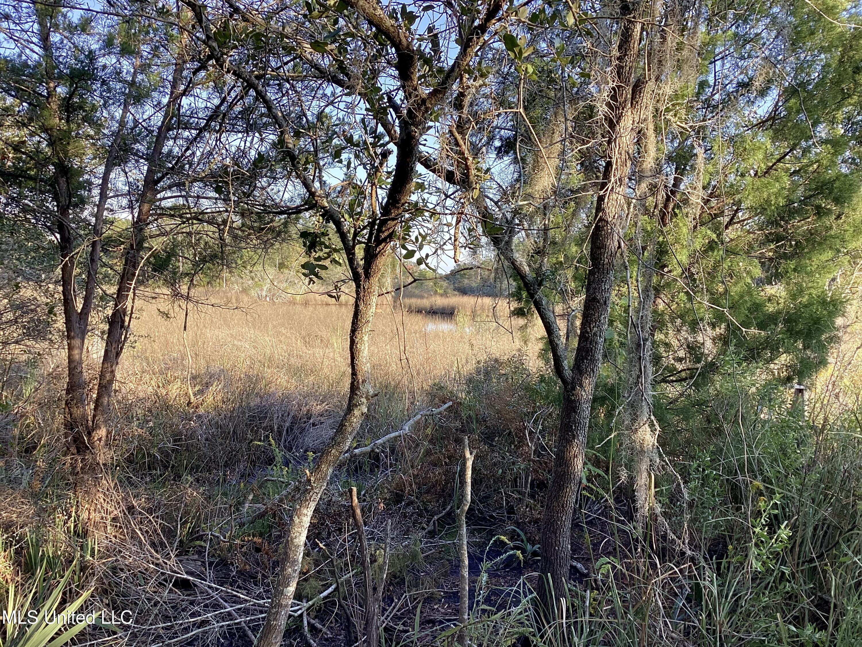 4437 Brentz Lane Property Photo 12