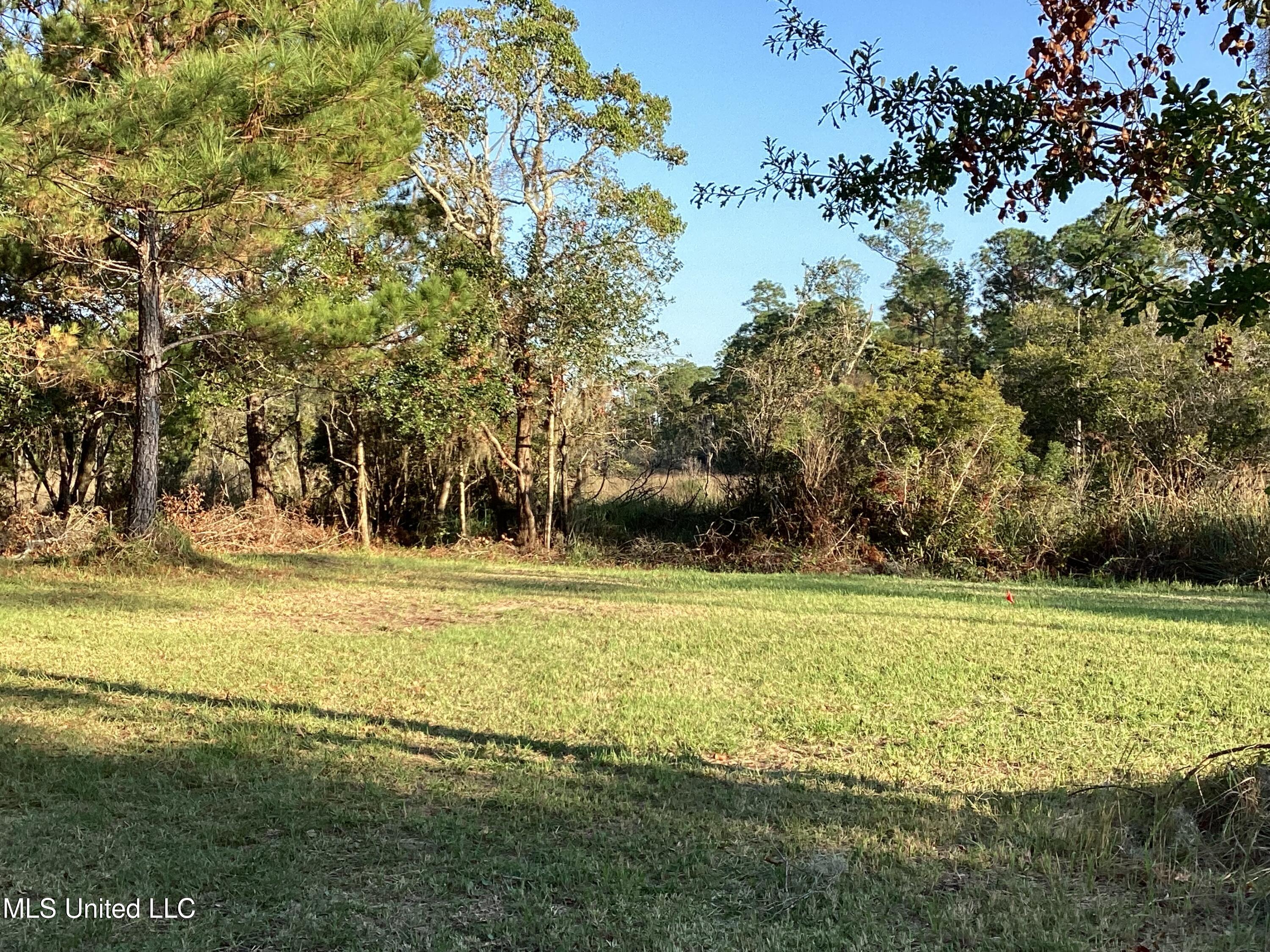 4437 Brentz Lane Property Photo 14