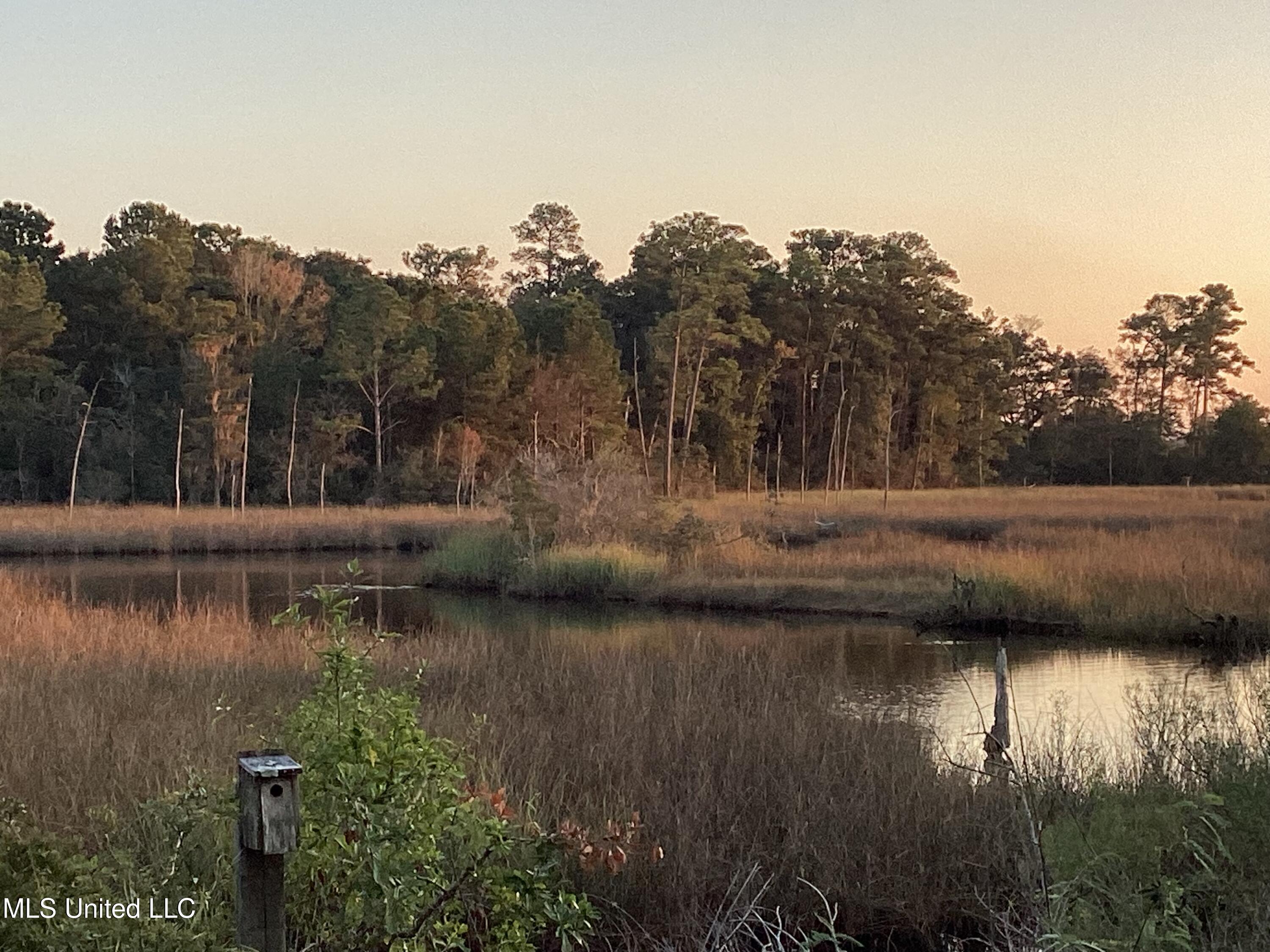 4437 Brentz Lane Property Photo 16