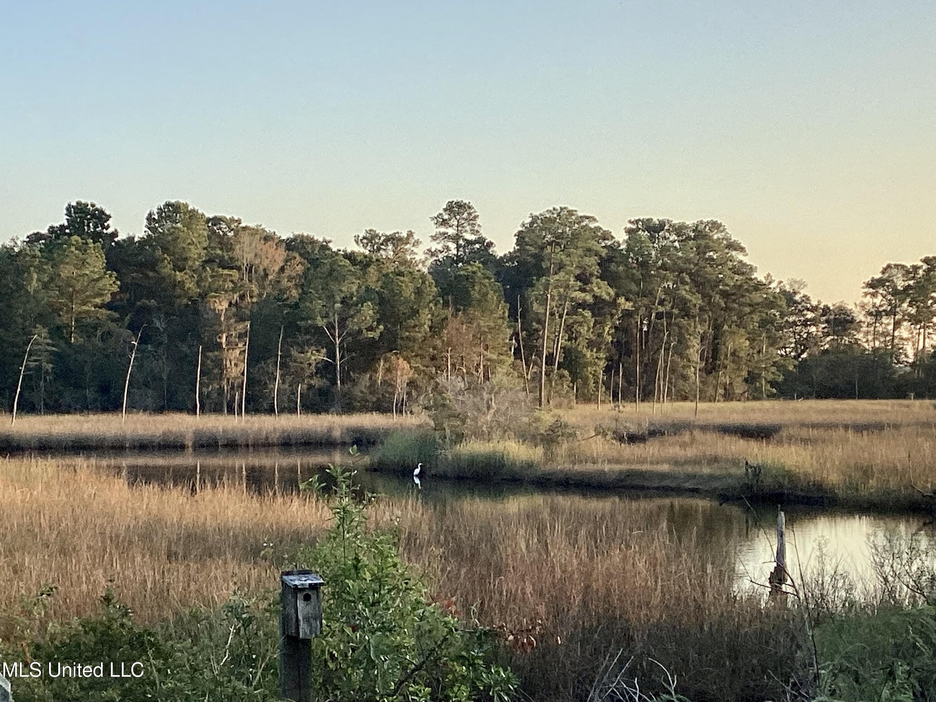 4437 Brentz Lane Property Photo 17