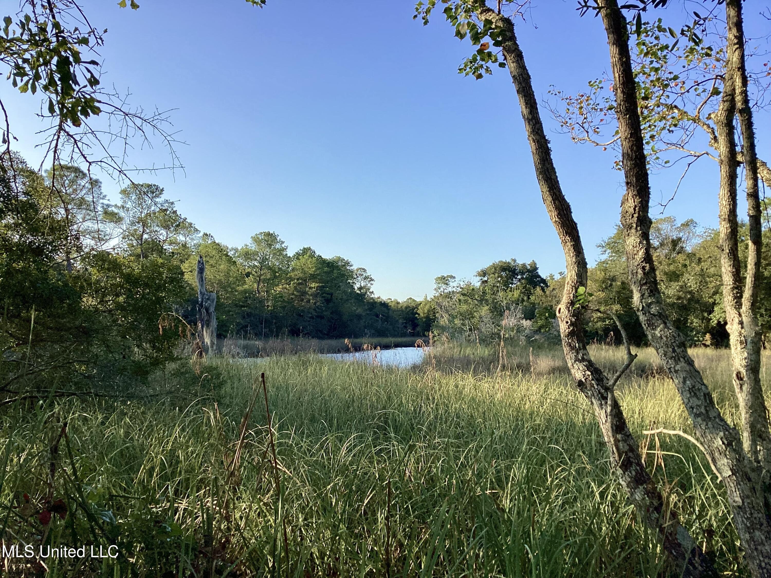 4437 Brentz Lane Property Photo 19