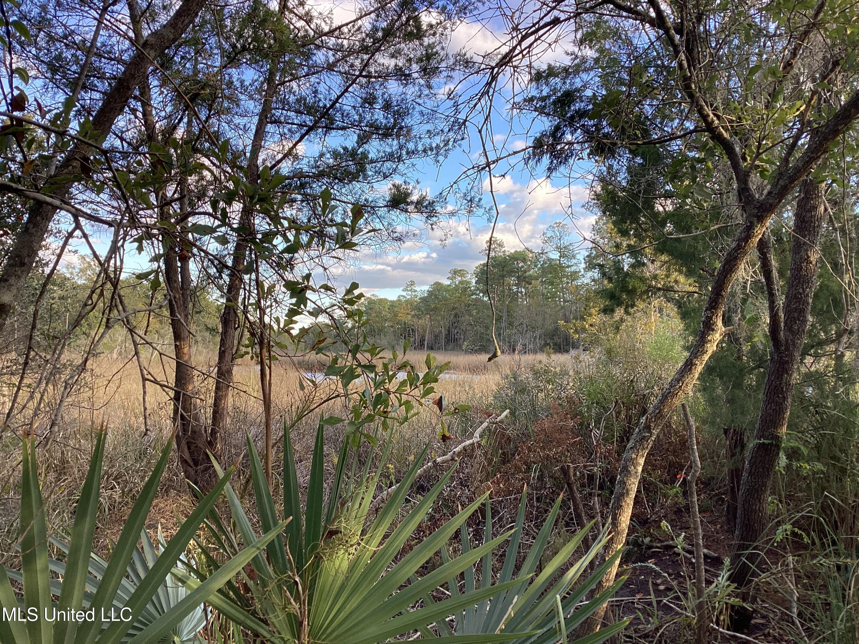 4437 Brentz Lane Property Photo 20