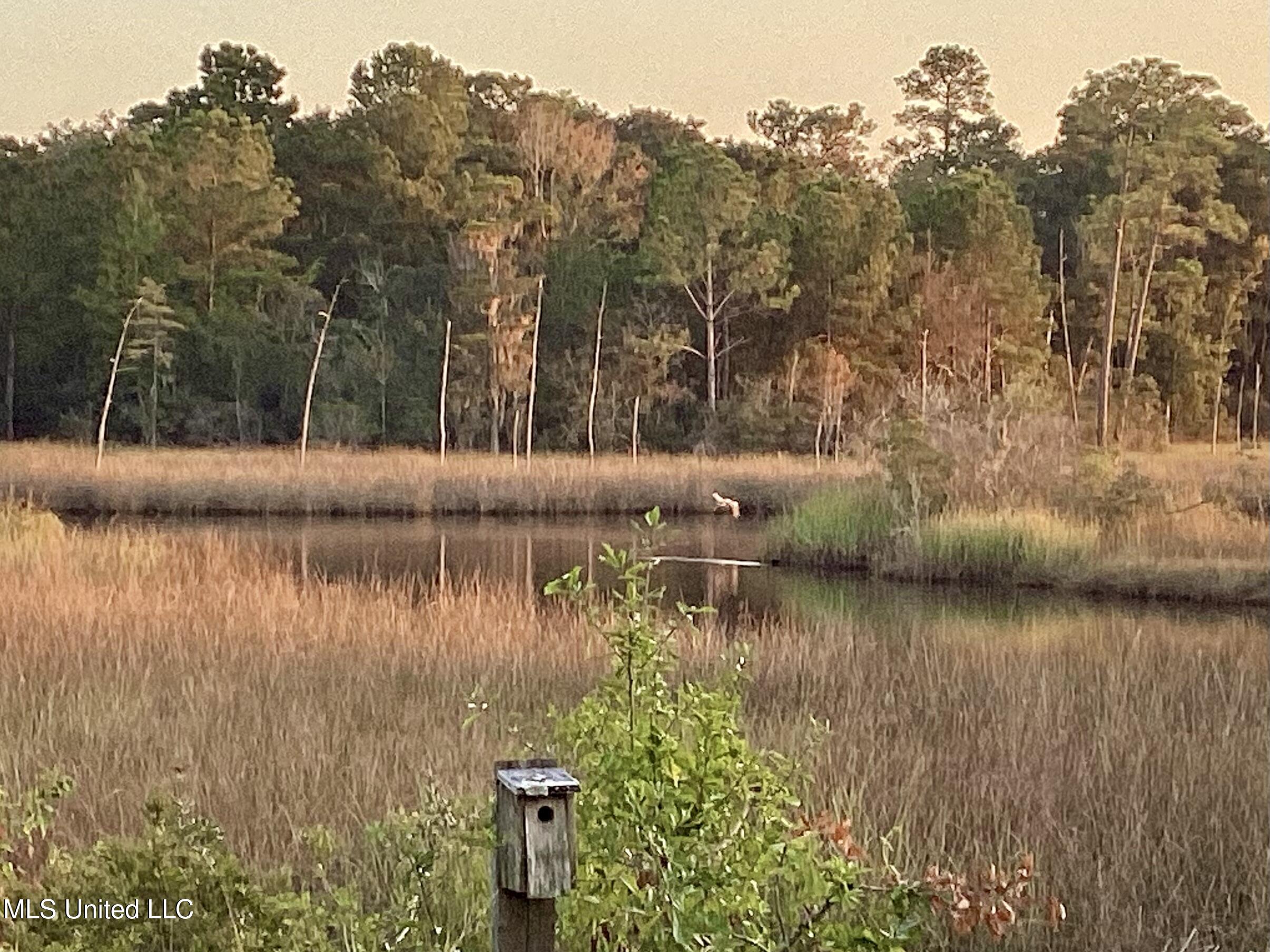 4437 Brentz Lane Property Photo 21