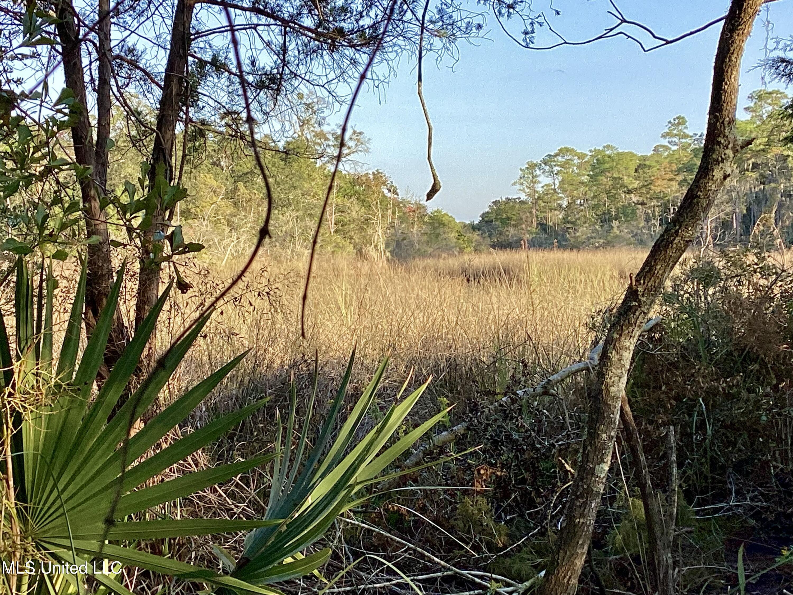 4437 Brentz Lane Property Photo 23