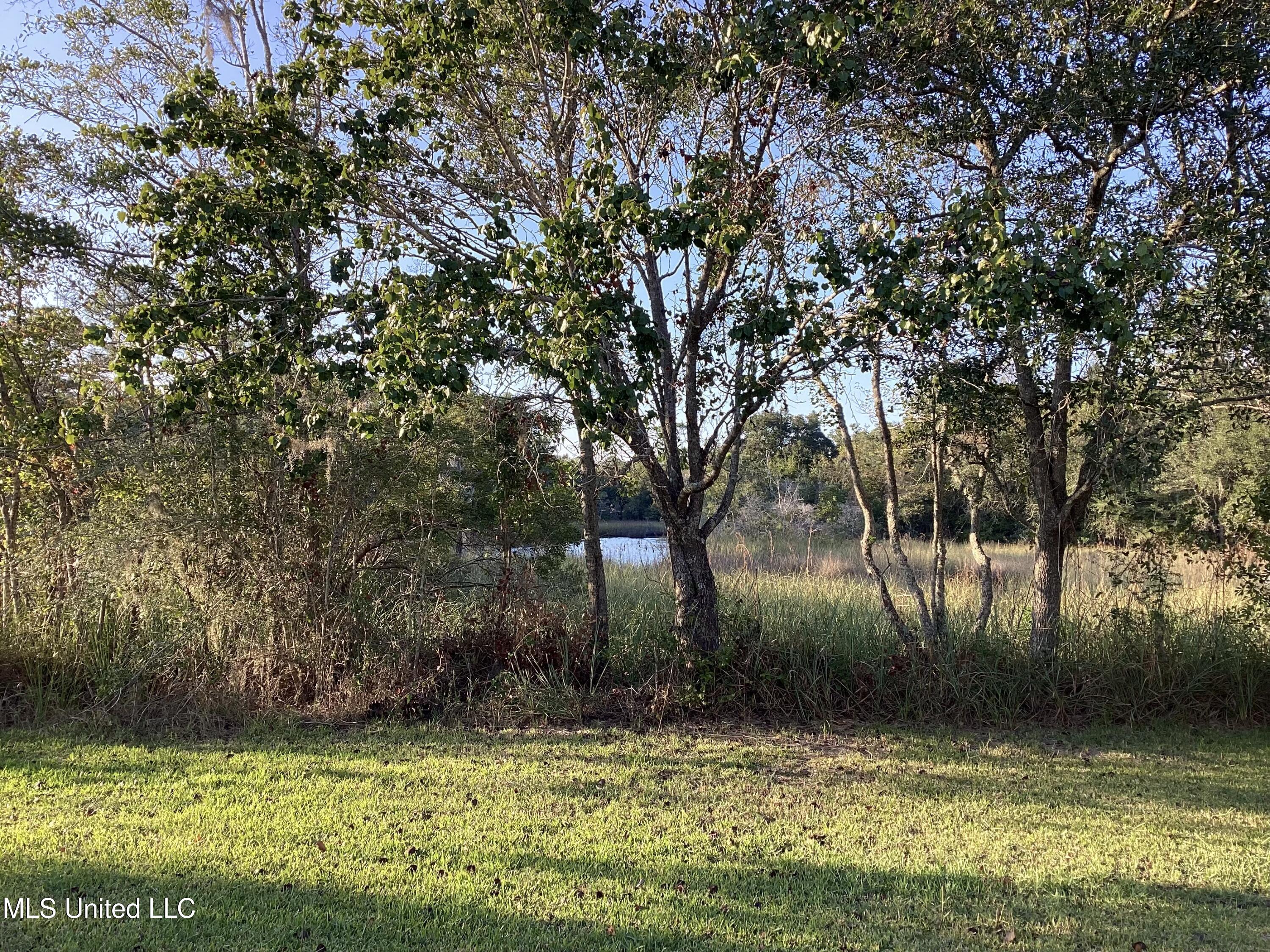 4437 Brentz Lane Property Photo 25