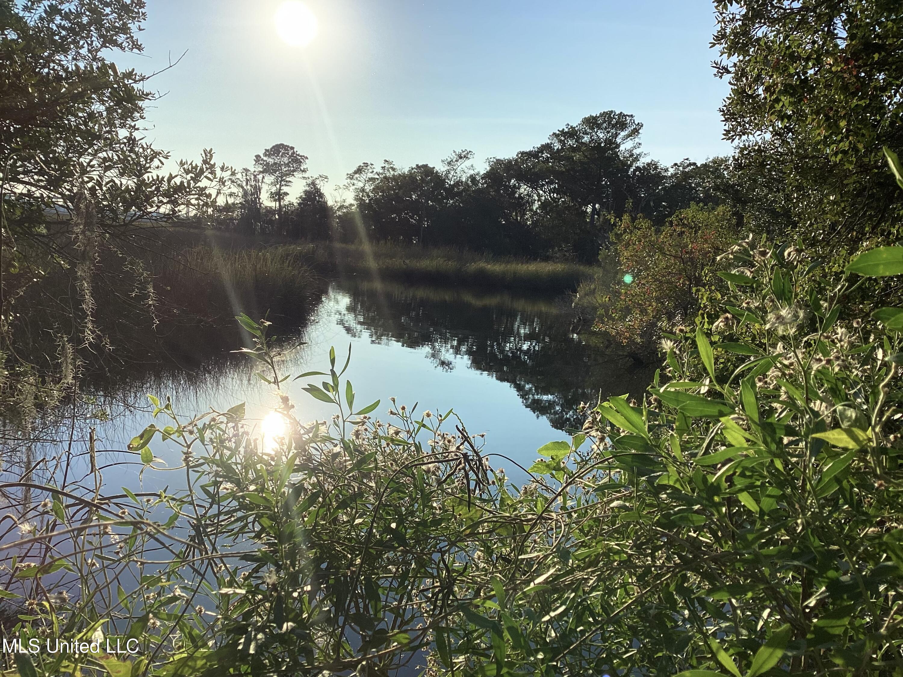 4437 Brentz Lane Property Photo 27