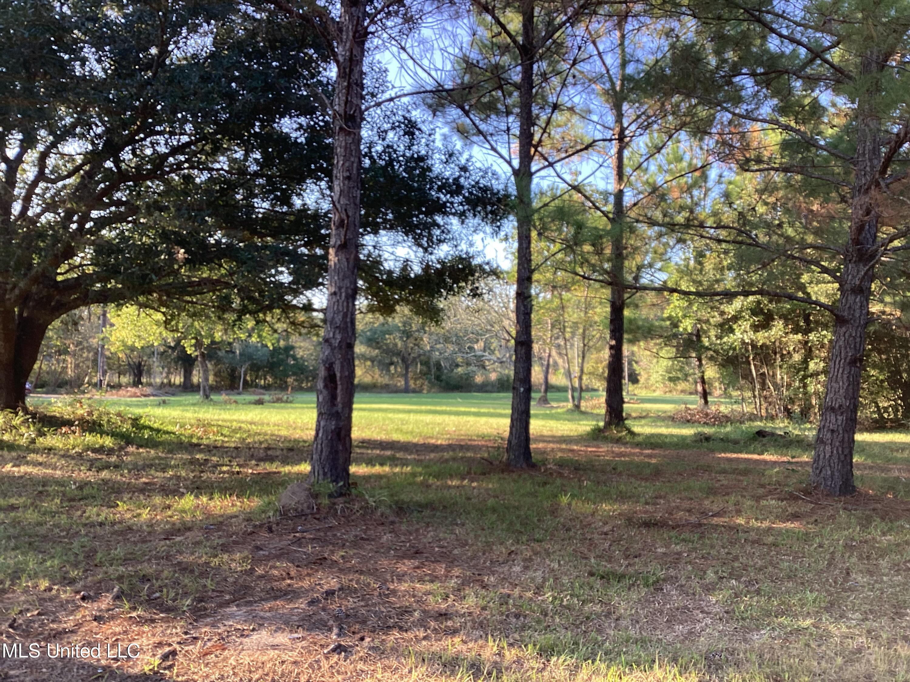 4437 Brentz Lane Property Photo 29