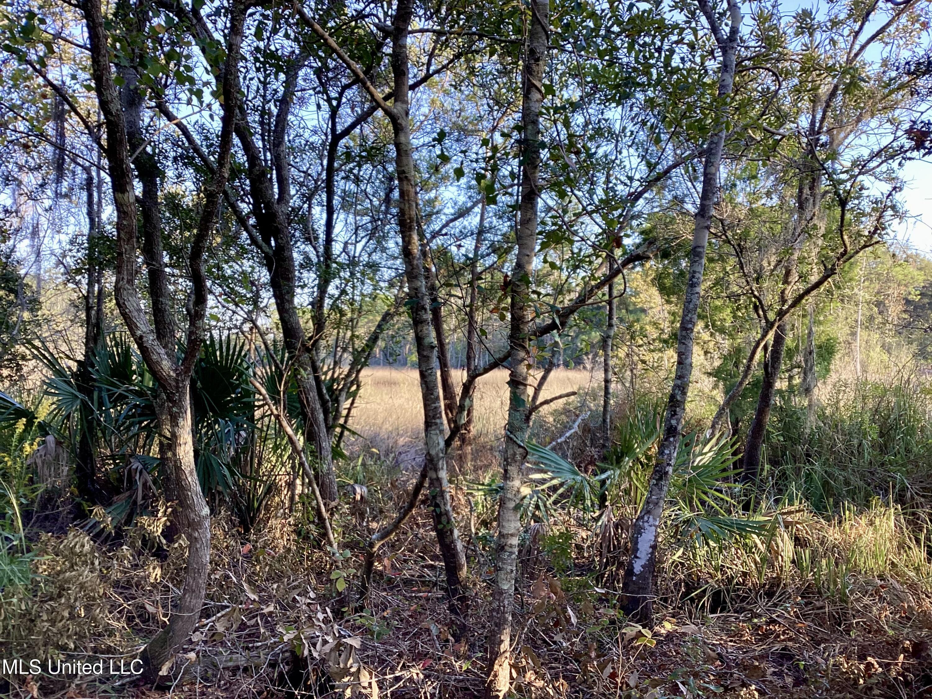 4437 Brentz Lane Property Photo 30