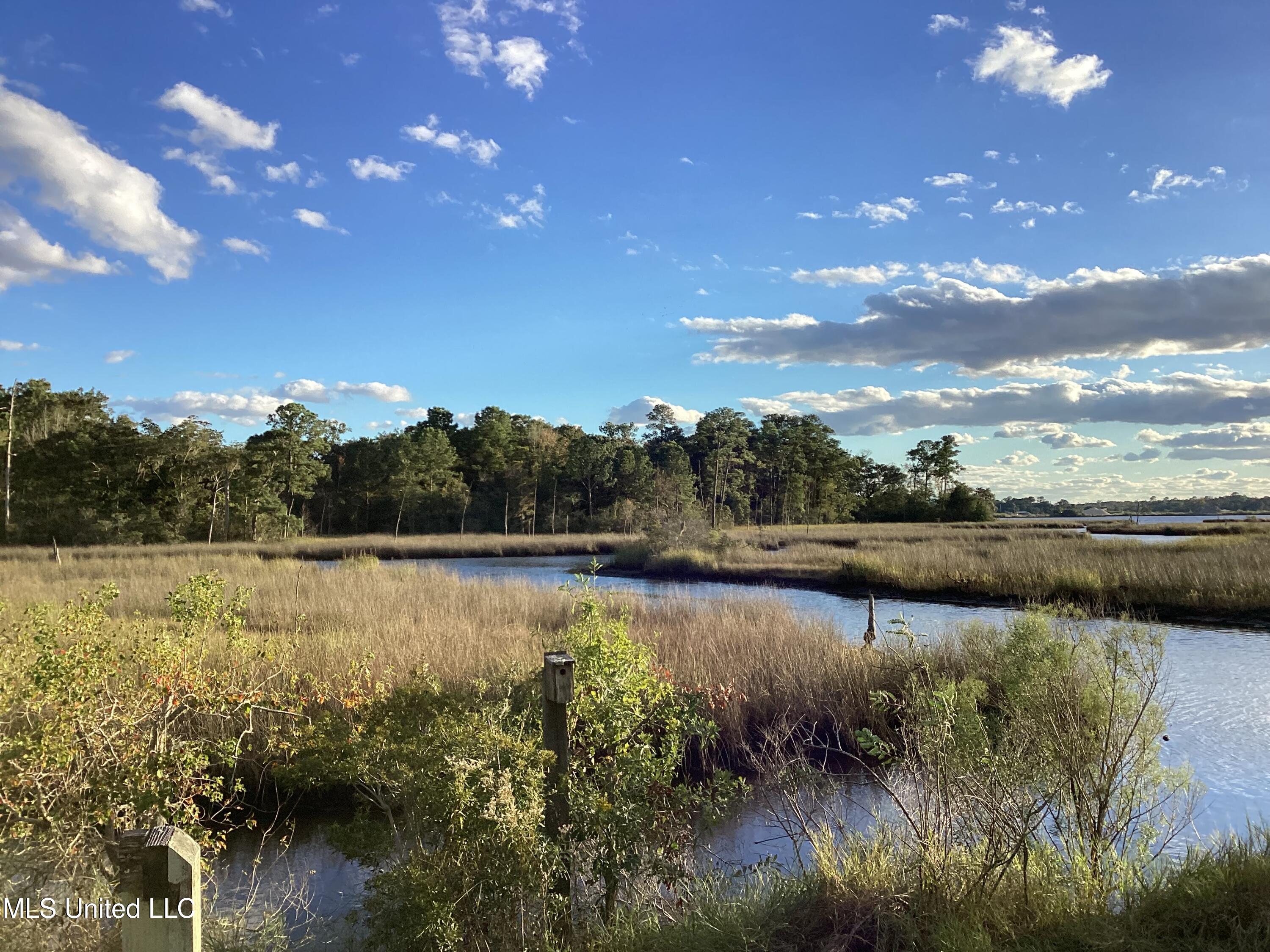 4437 Brentz Lane Property Photo 34