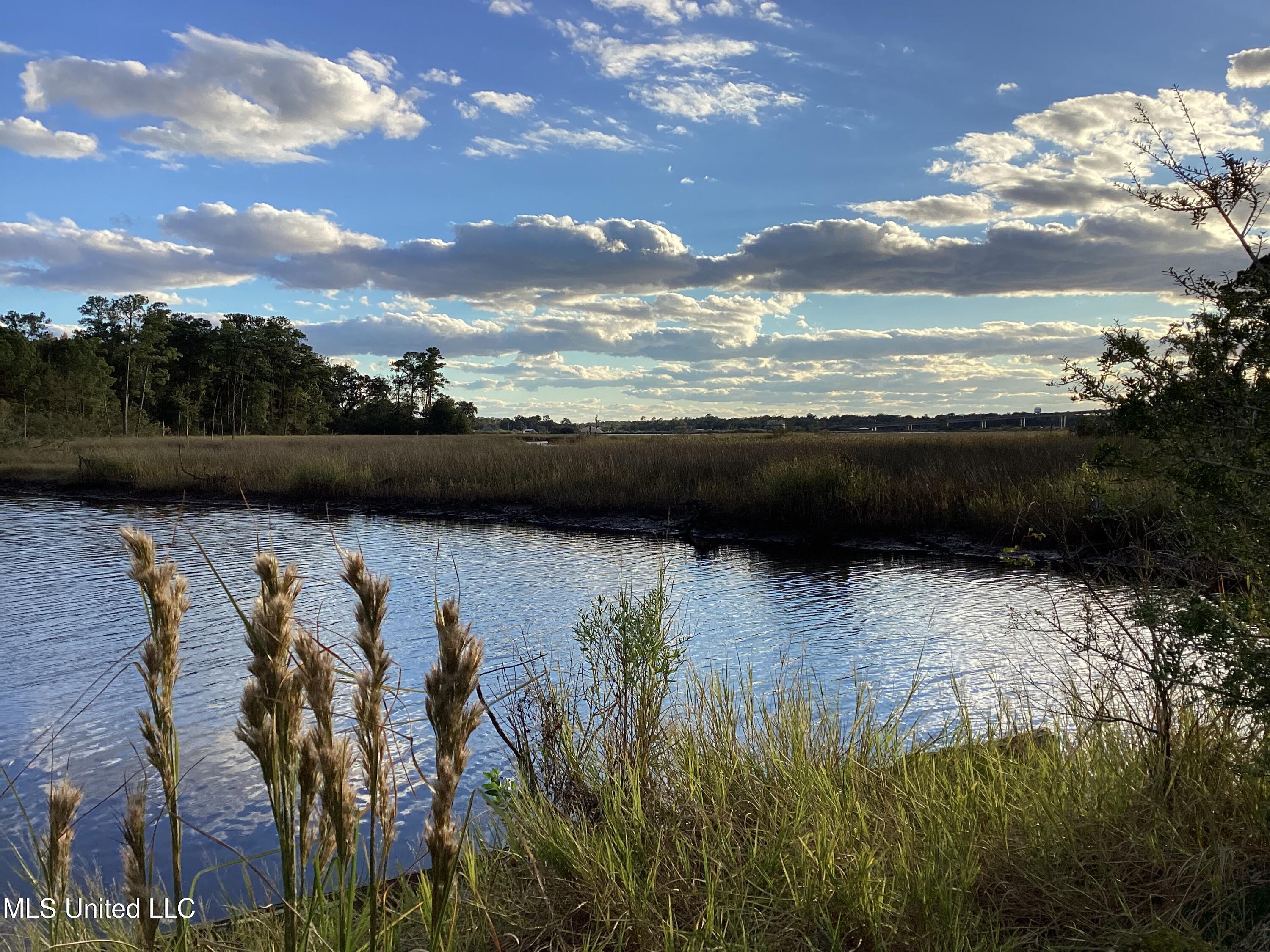 4437 Brentz Lane Property Photo 36
