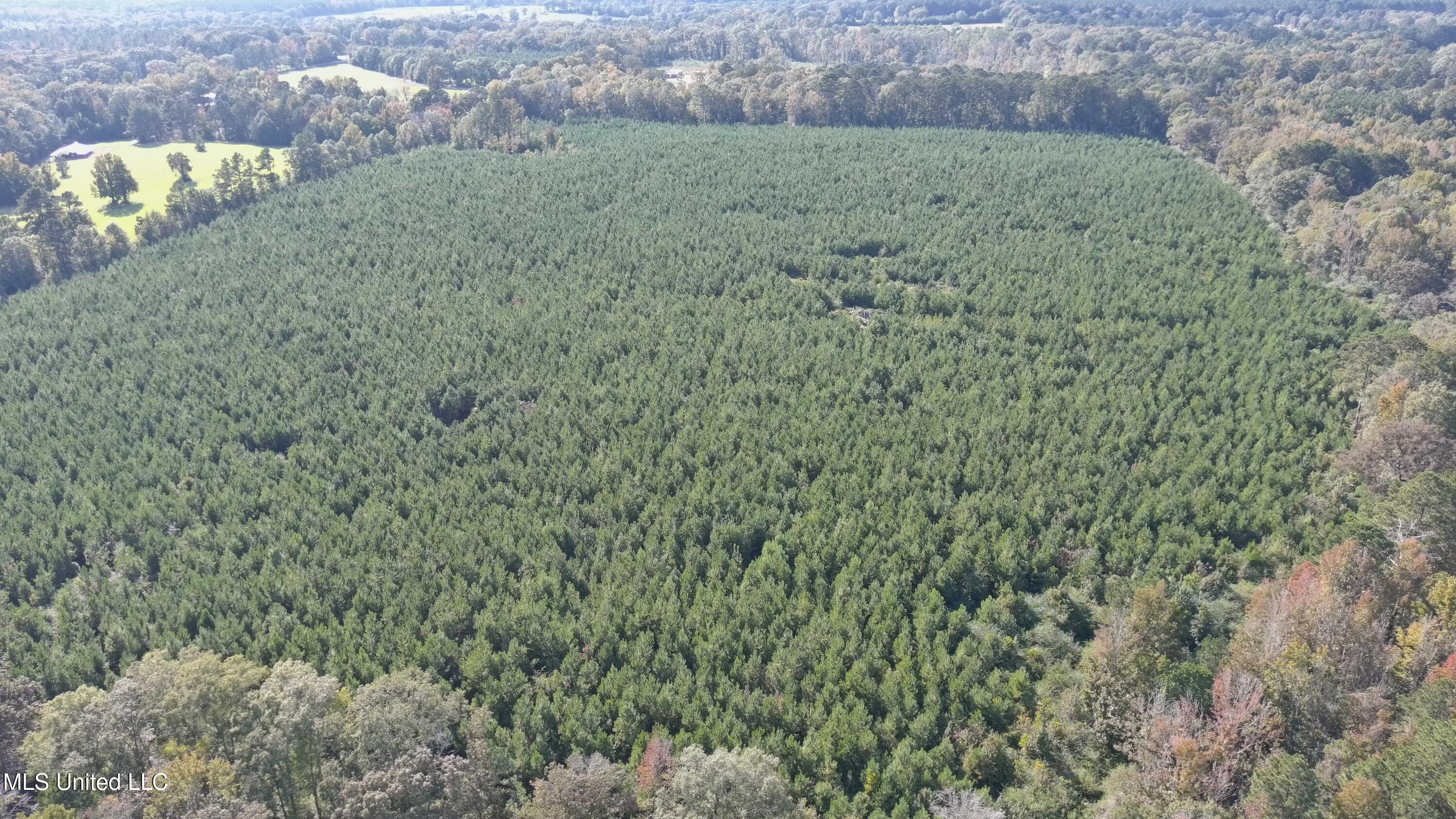 00 E 98 Highway Property Photo 3