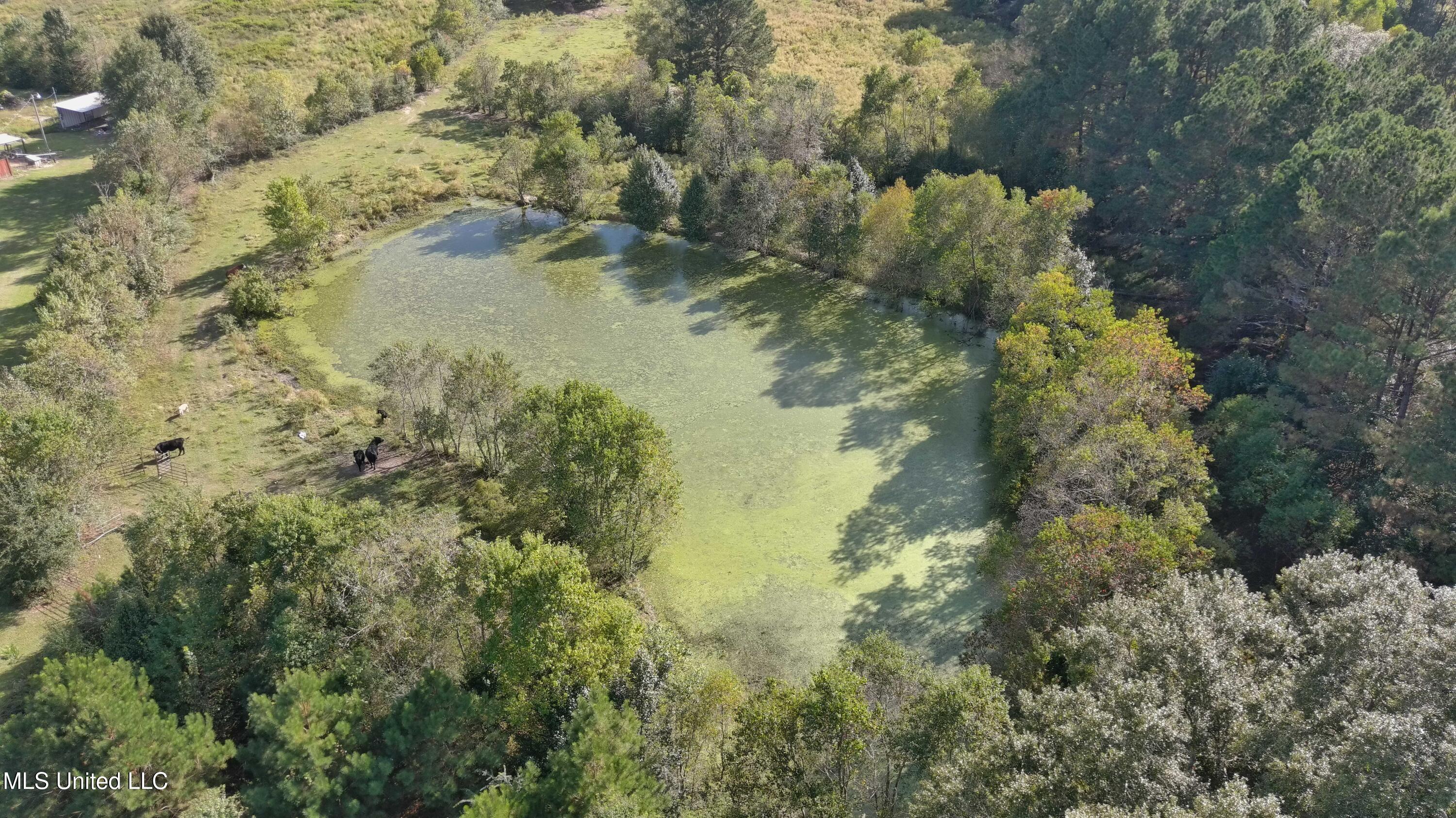 00 E 98 Highway Property Photo 5