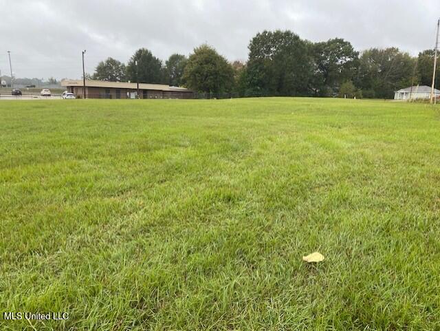 Scott Street Property Photo 1