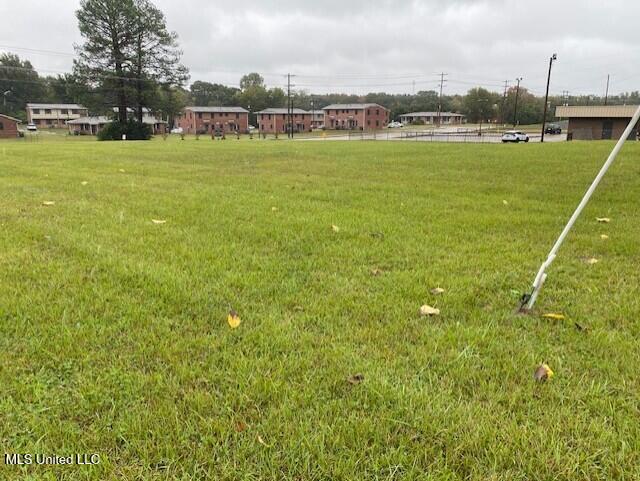 Scott Street Property Photo 3