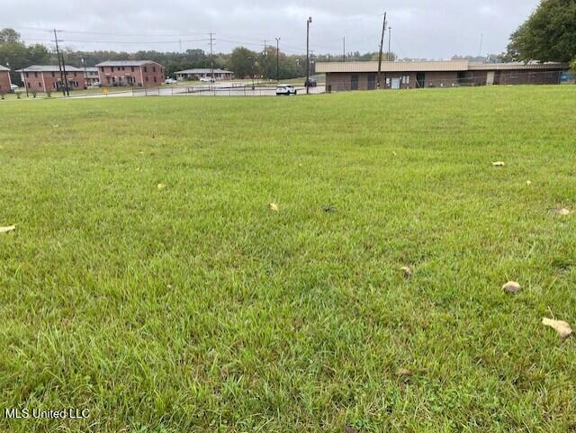 Scott Street Property Photo 4