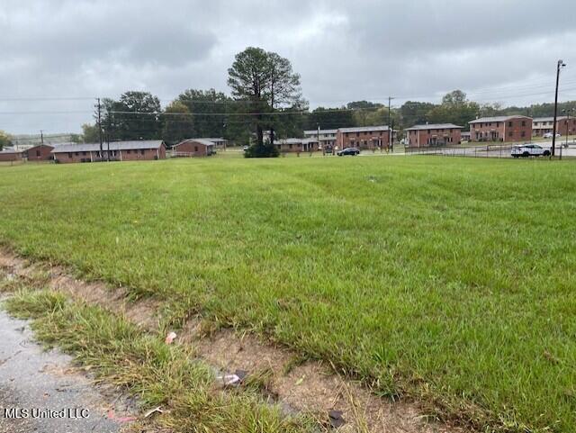 Scott Street Property Photo 6