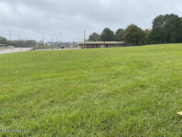 Scott Street Property Photo 7