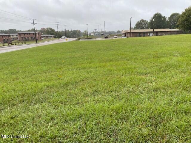 Scott Street Property Photo 8