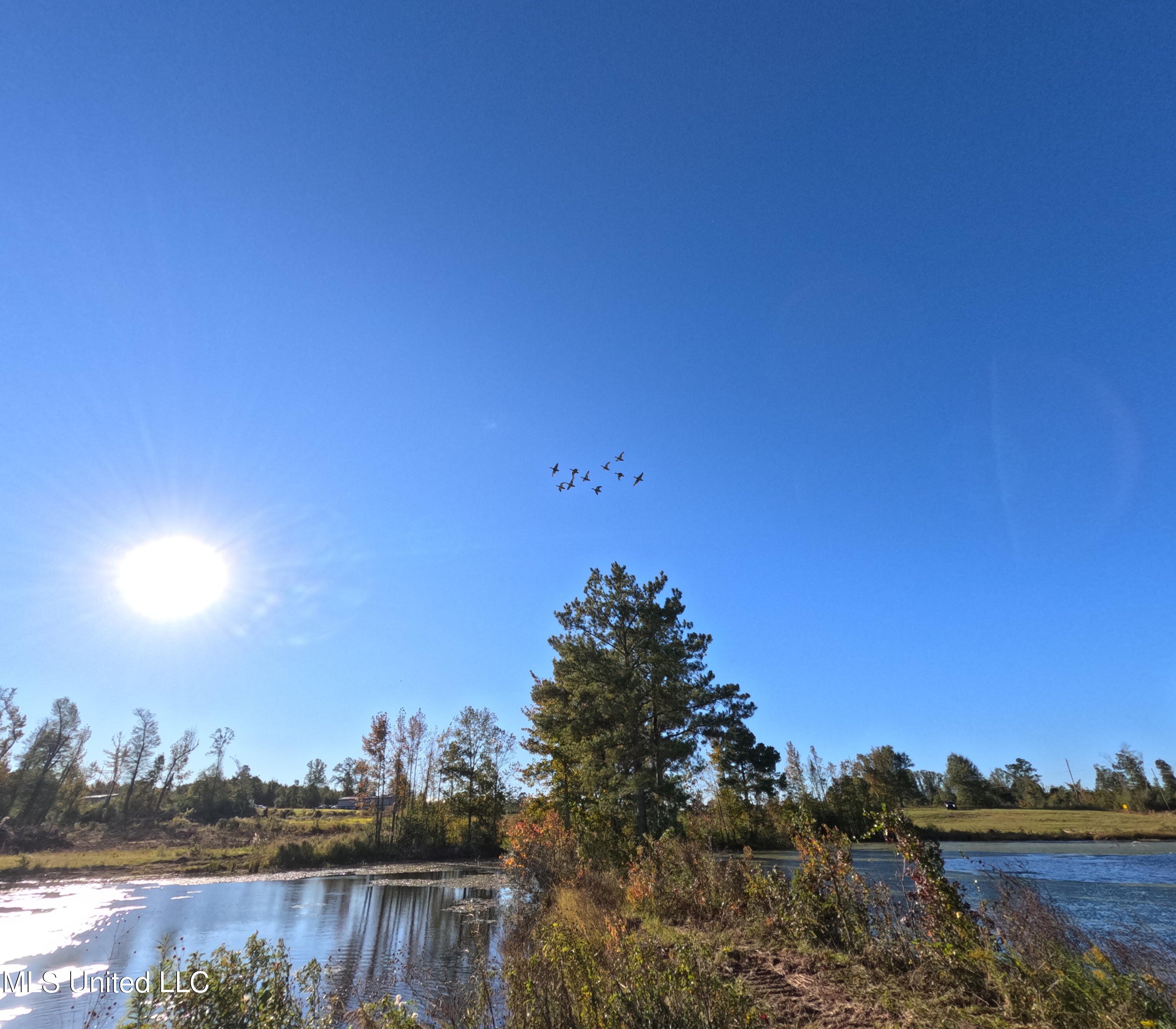 William Warren Road Property Photo 3