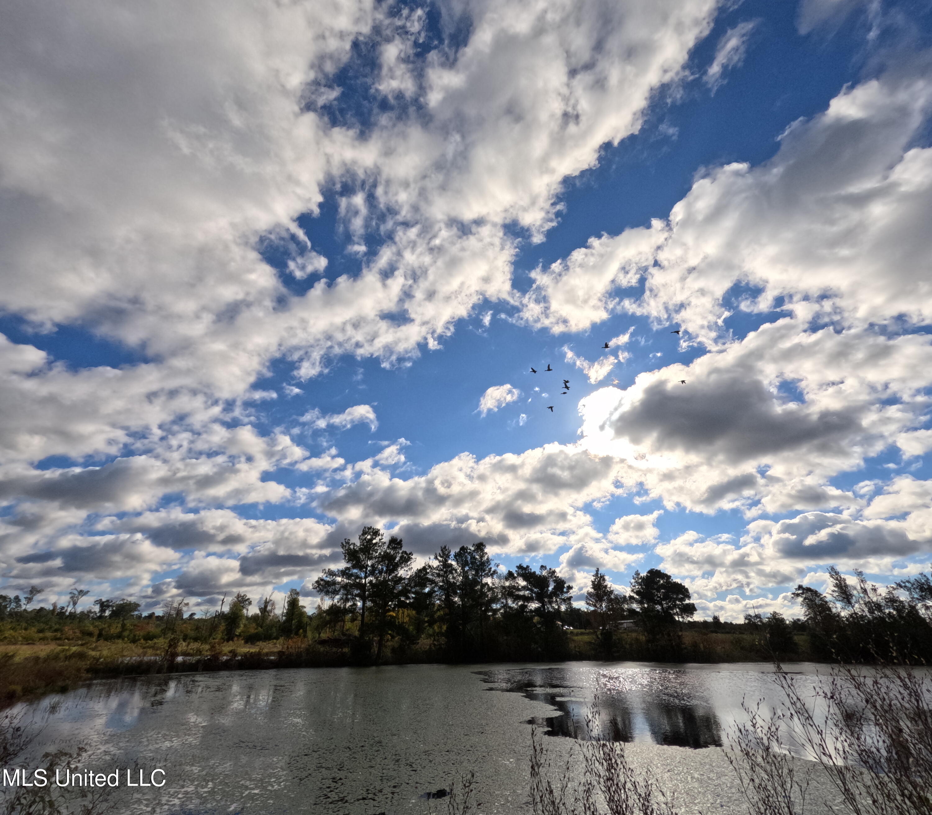 William Warren Road Property Photo 5