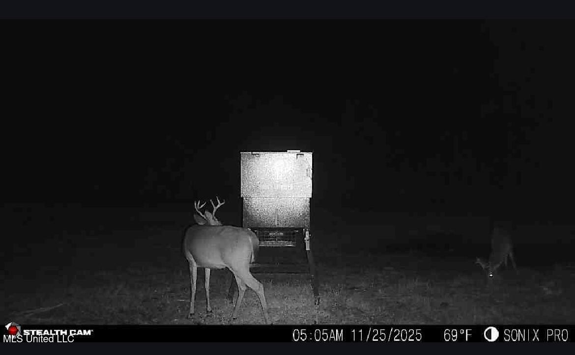 William Warren Road Property Photo 7