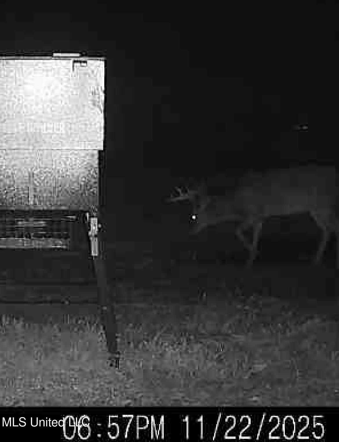 William Warren Road Property Photo 8