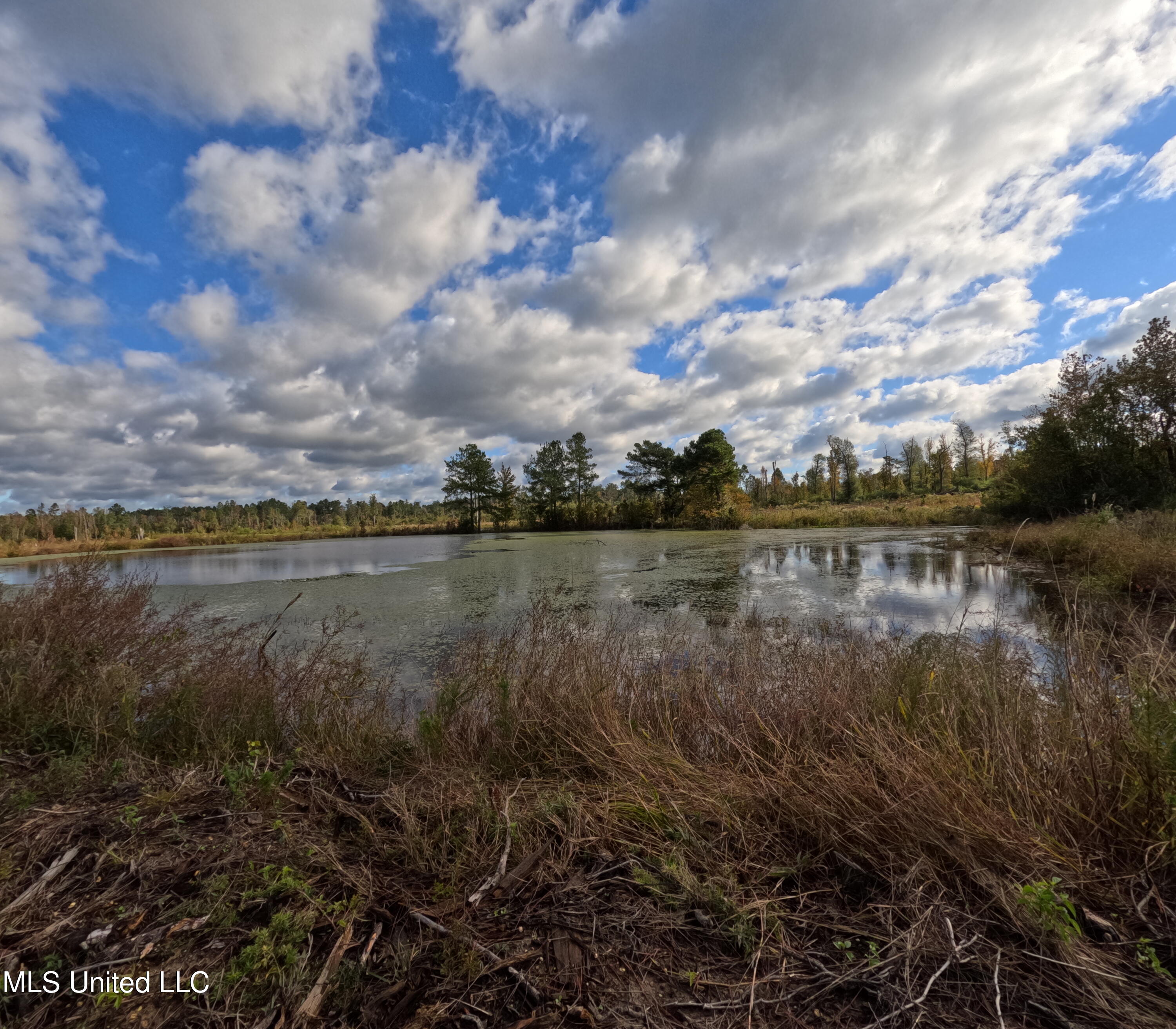 William Warren Road Property Photo 9