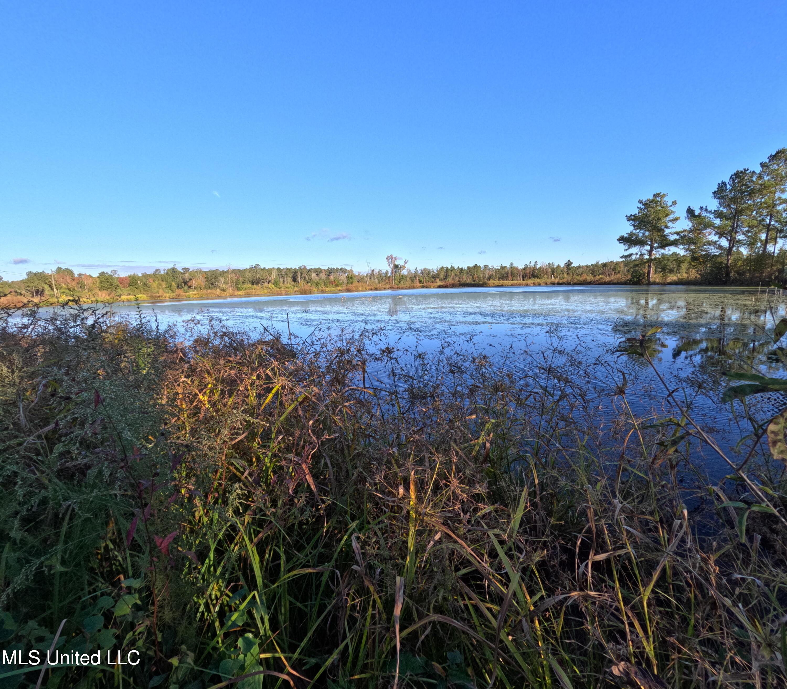 William Warren Road Property Photo 11