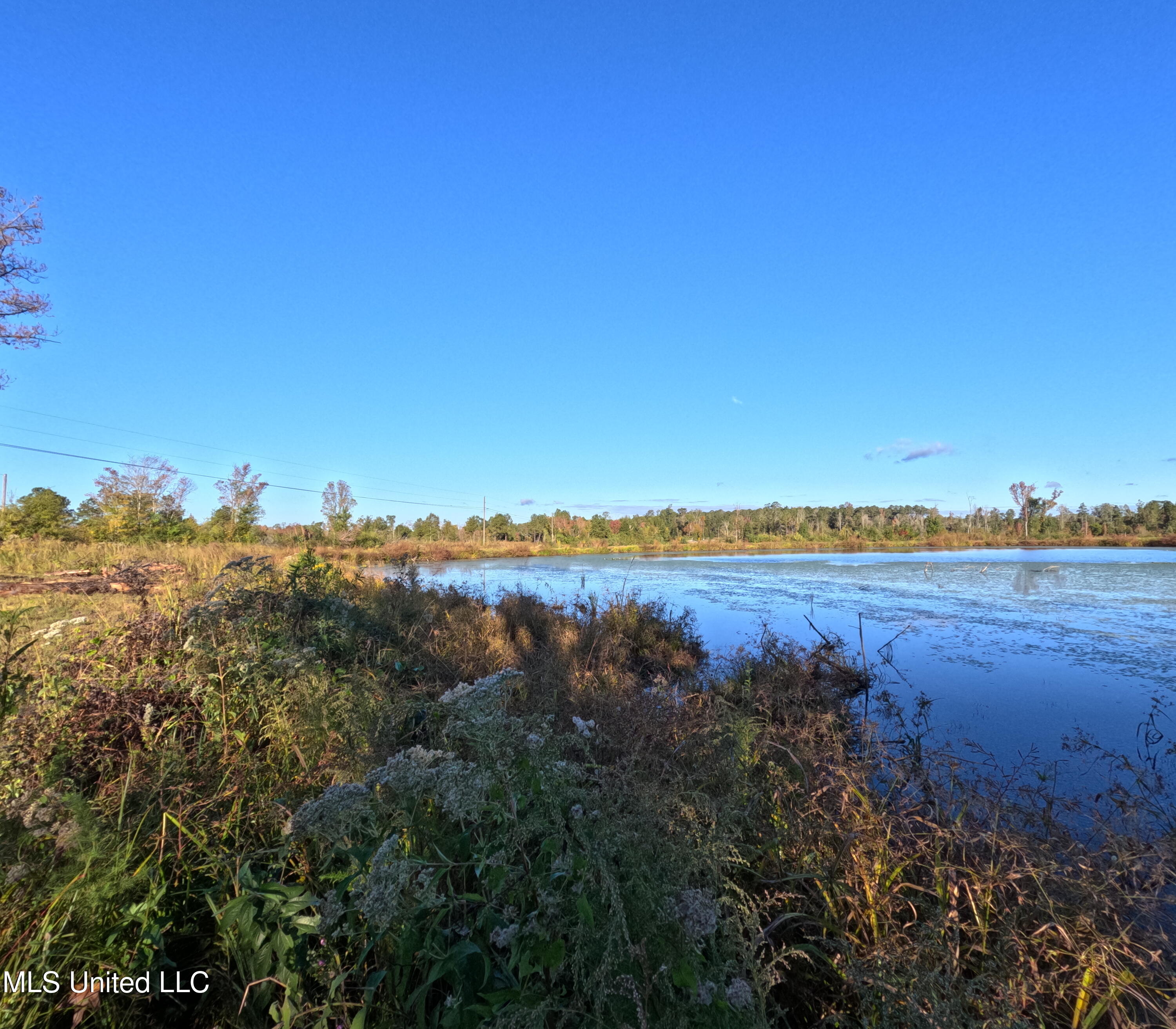 William Warren Road Property Photo 12