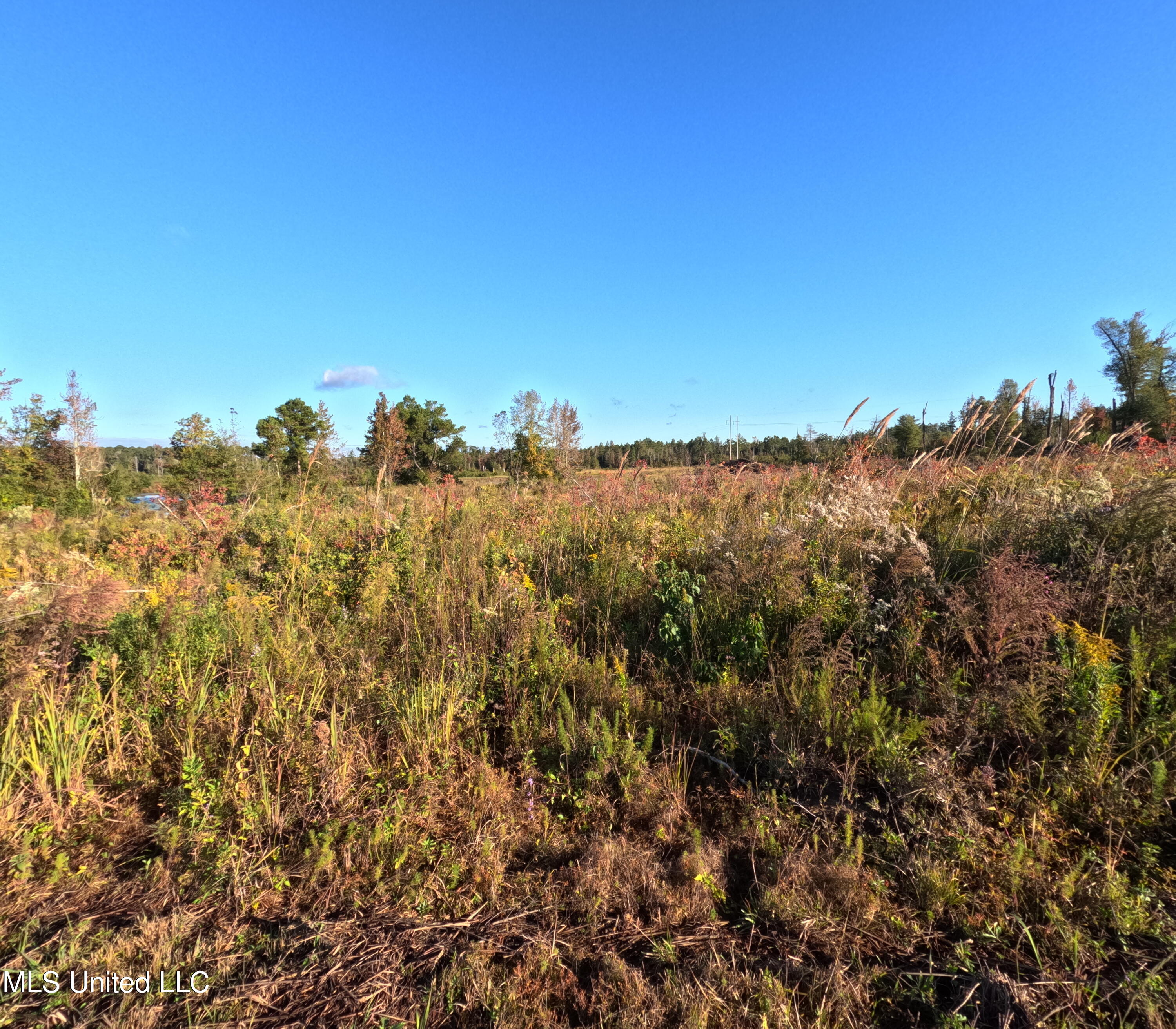 William Warren Road Property Photo 13