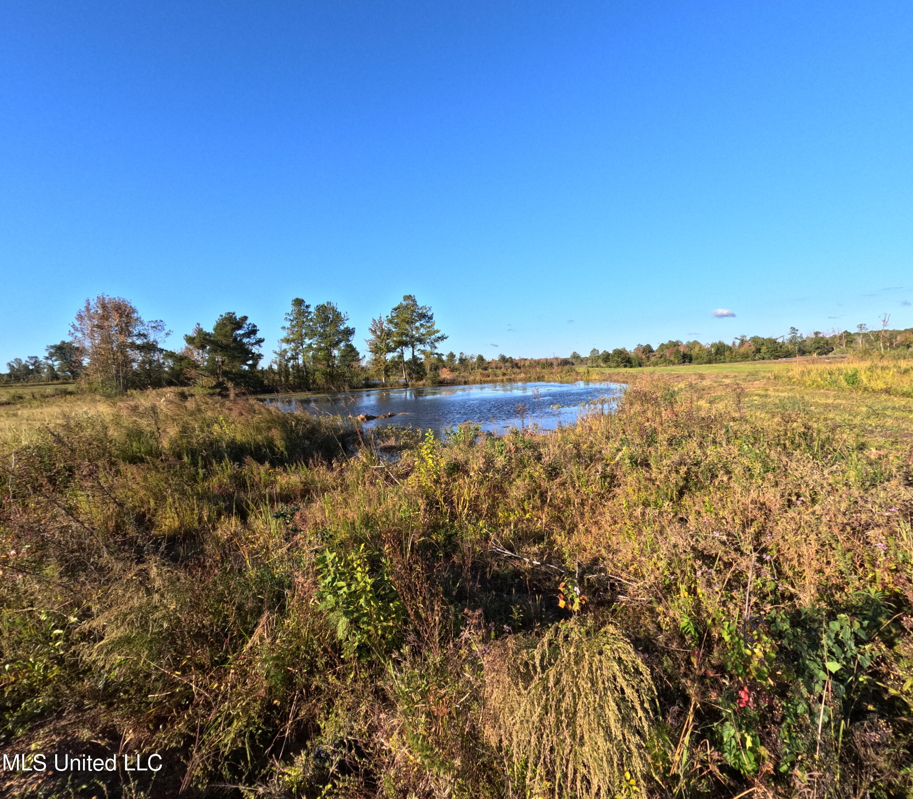 William Warren Road Property Photo 14