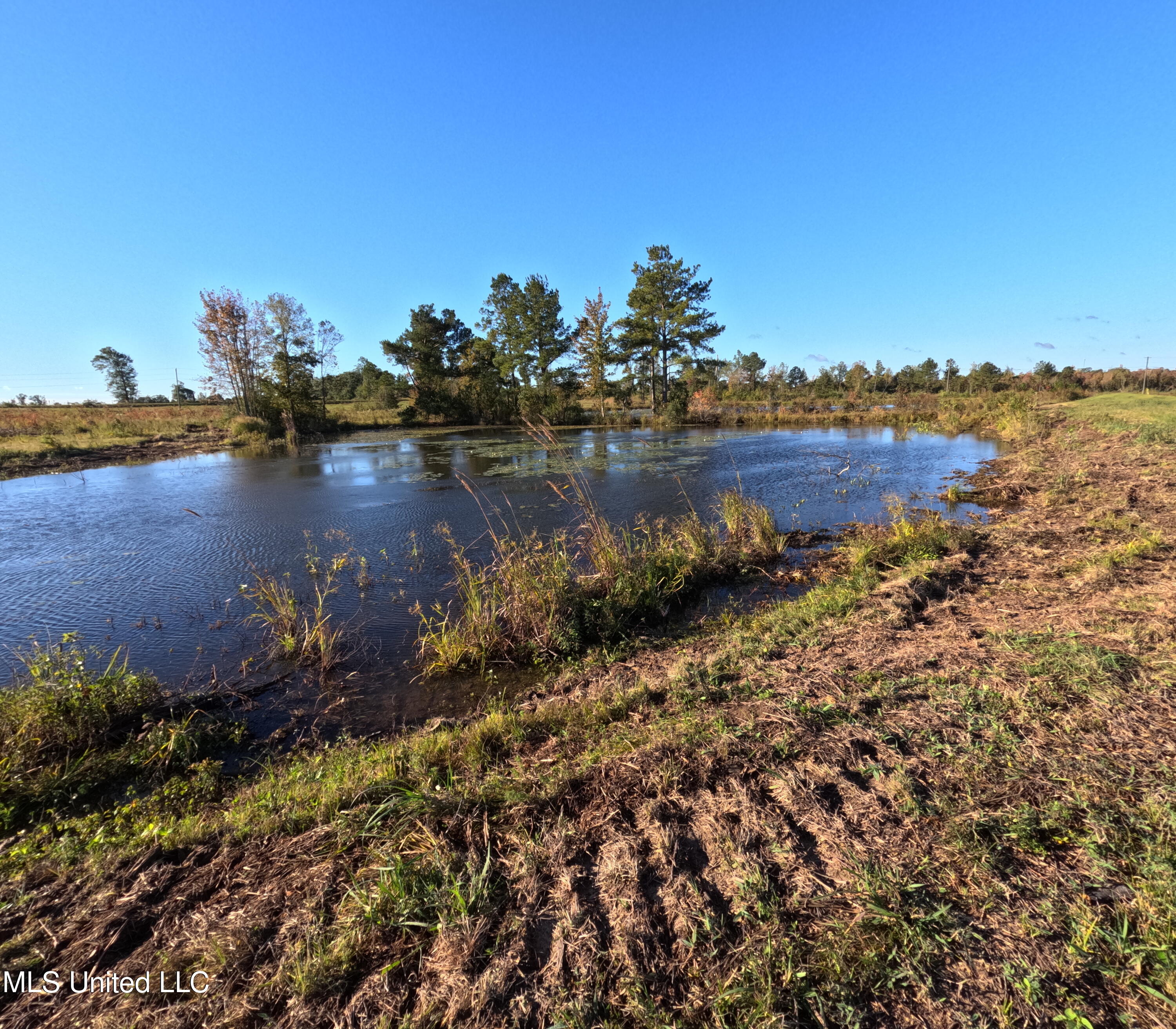 William Warren Road Property Photo 15