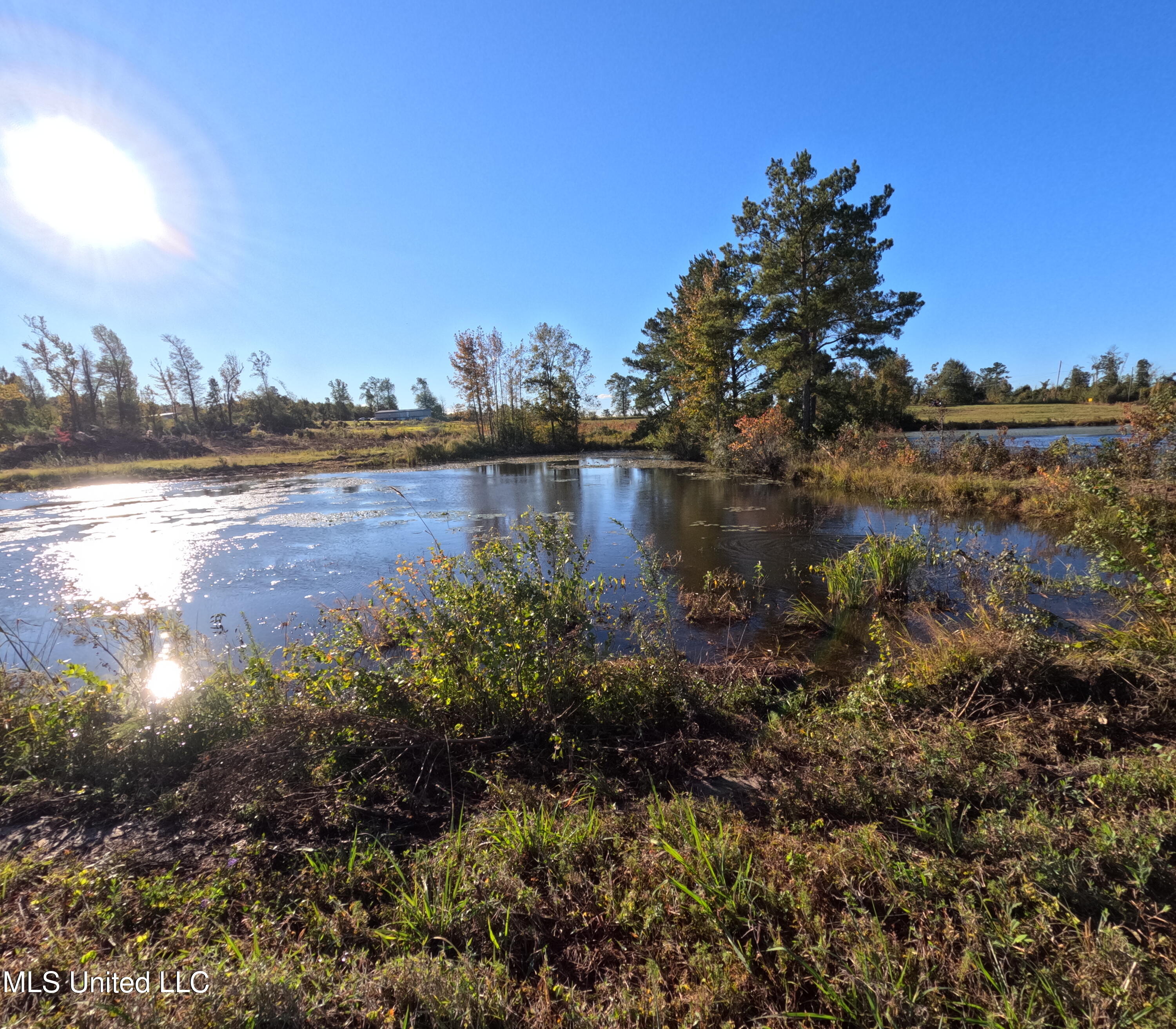 William Warren Road Property Photo 16