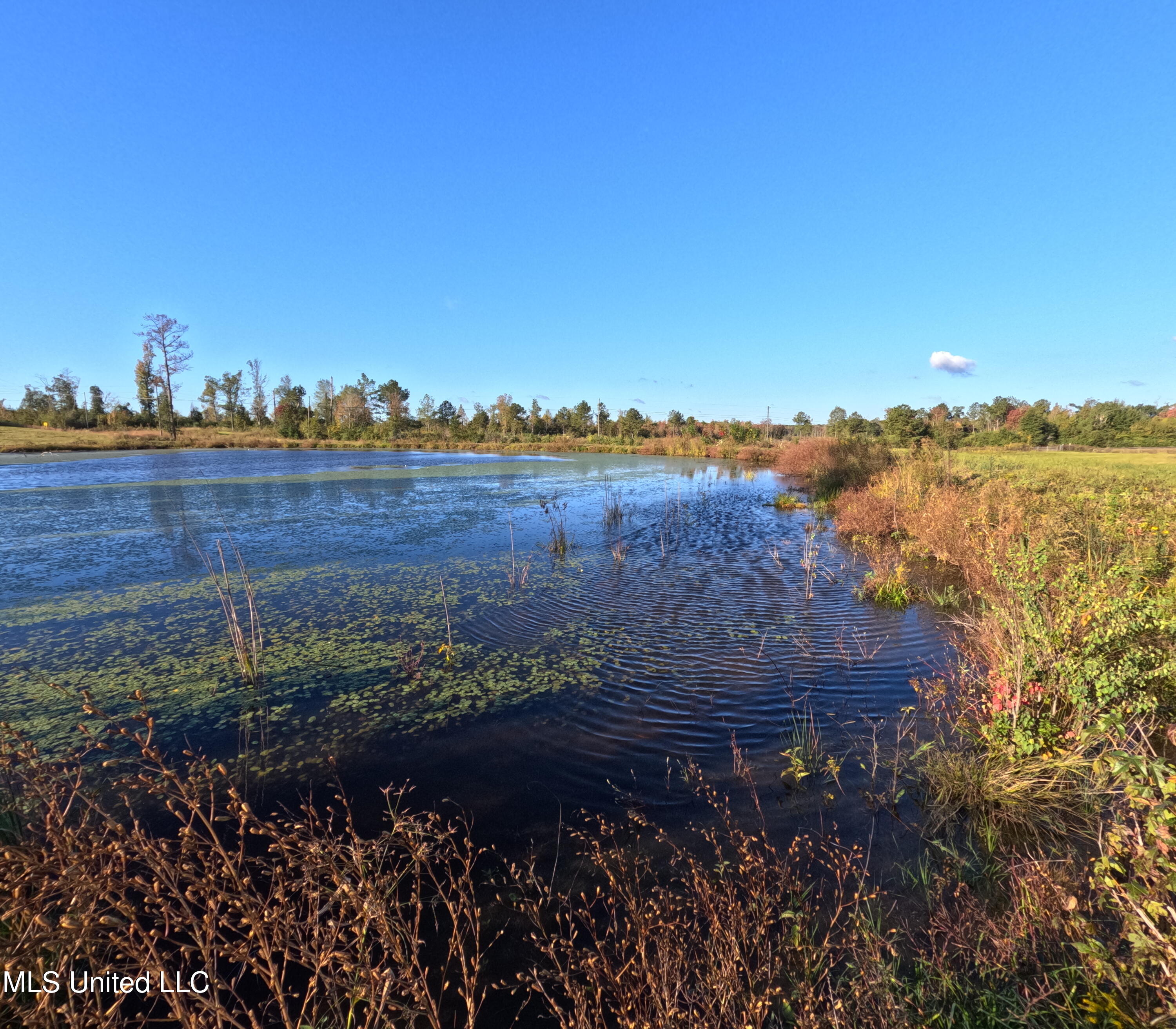 William Warren Road Property Photo 17