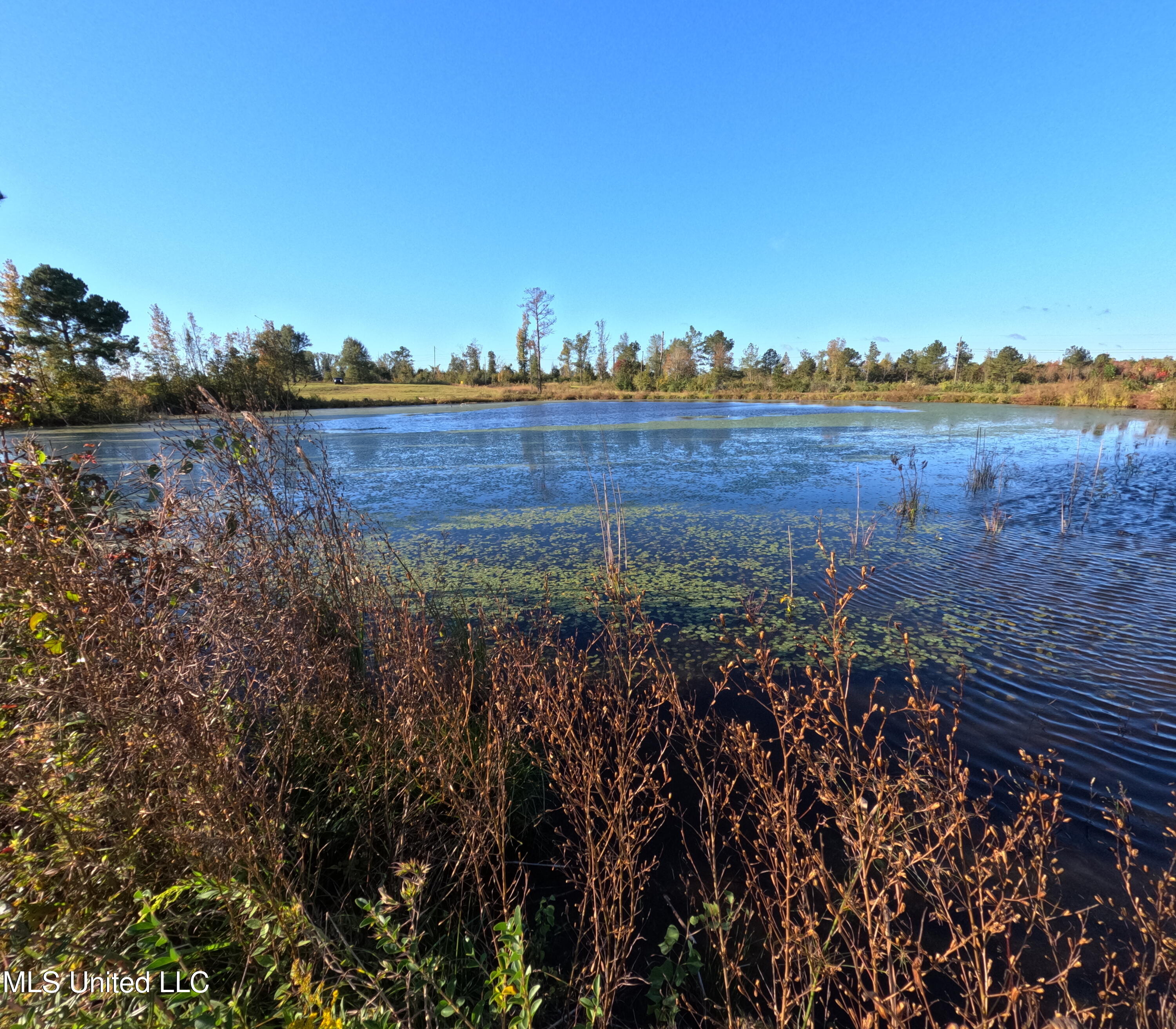 William Warren Road Property Photo 18