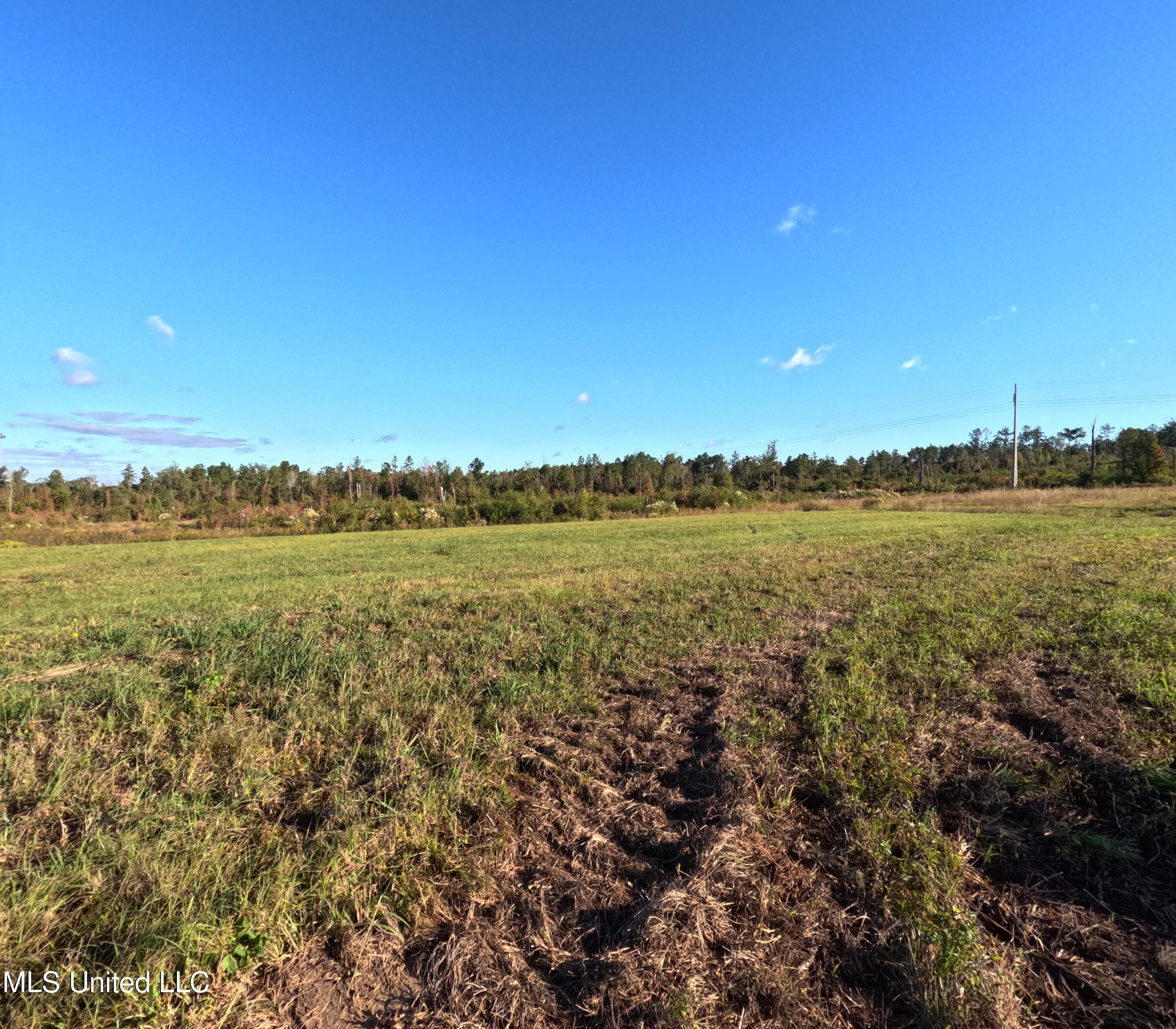 William Warren Road Property Photo 20