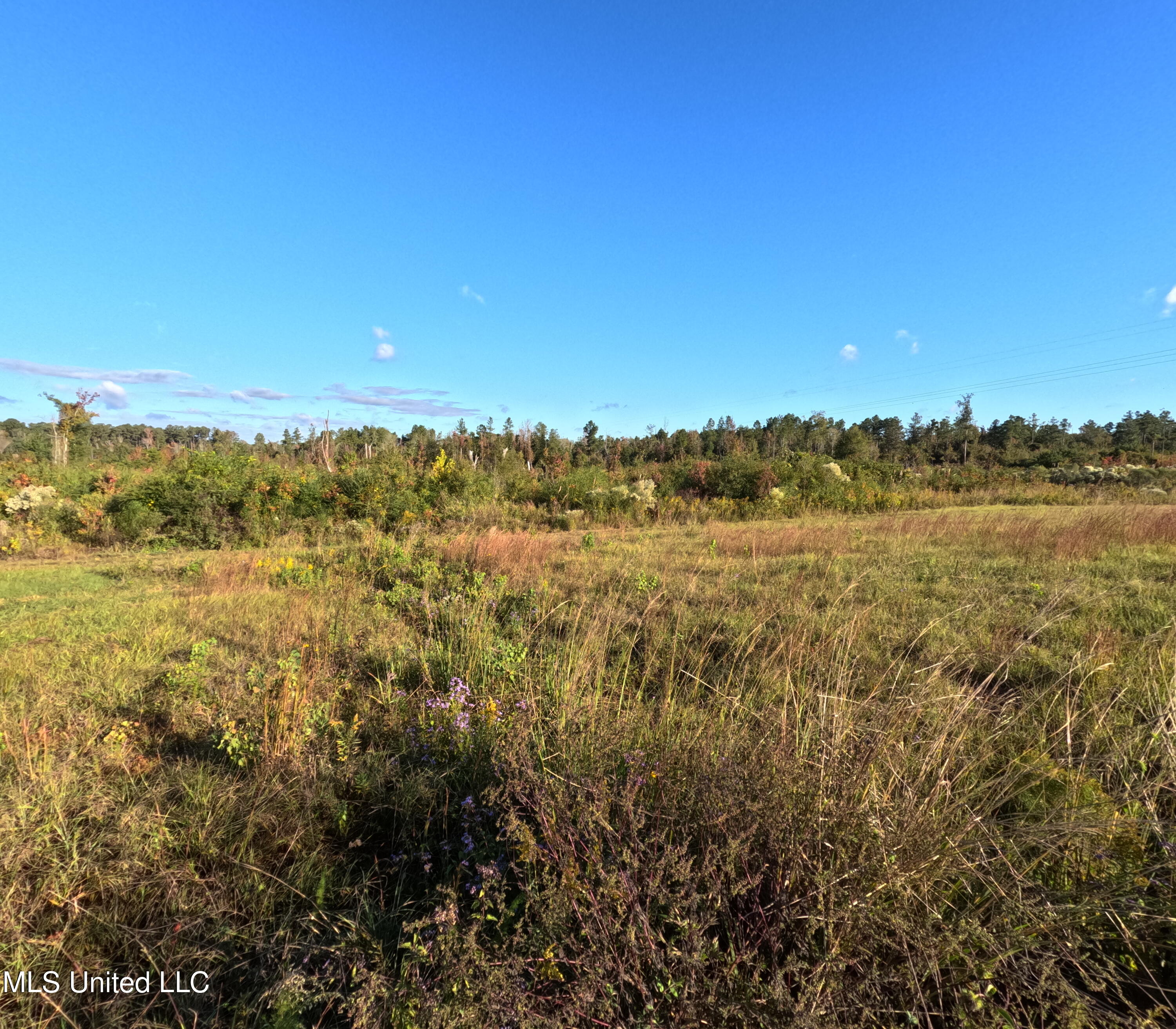 William Warren Road Property Photo 21