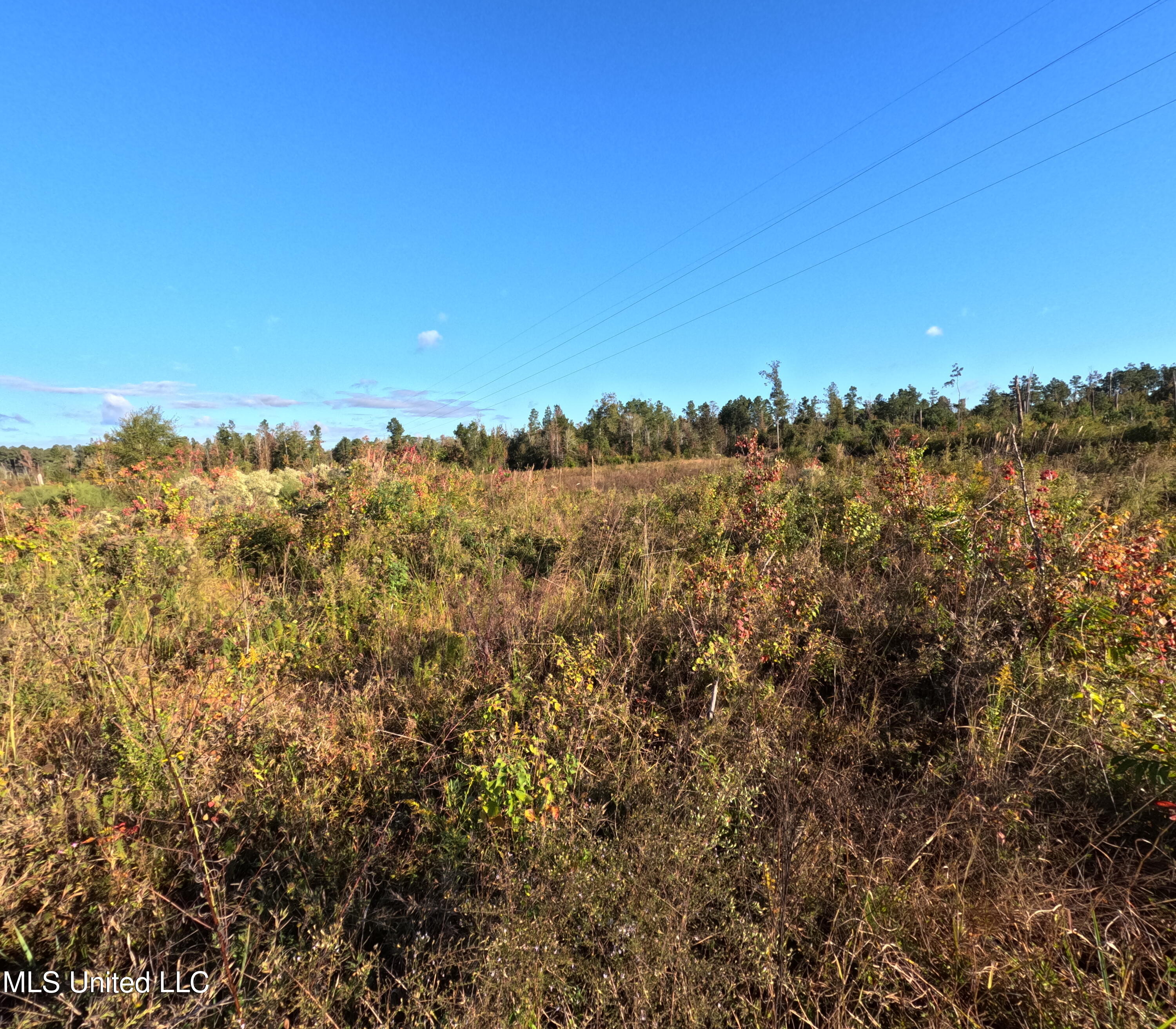 William Warren Road Property Photo 22