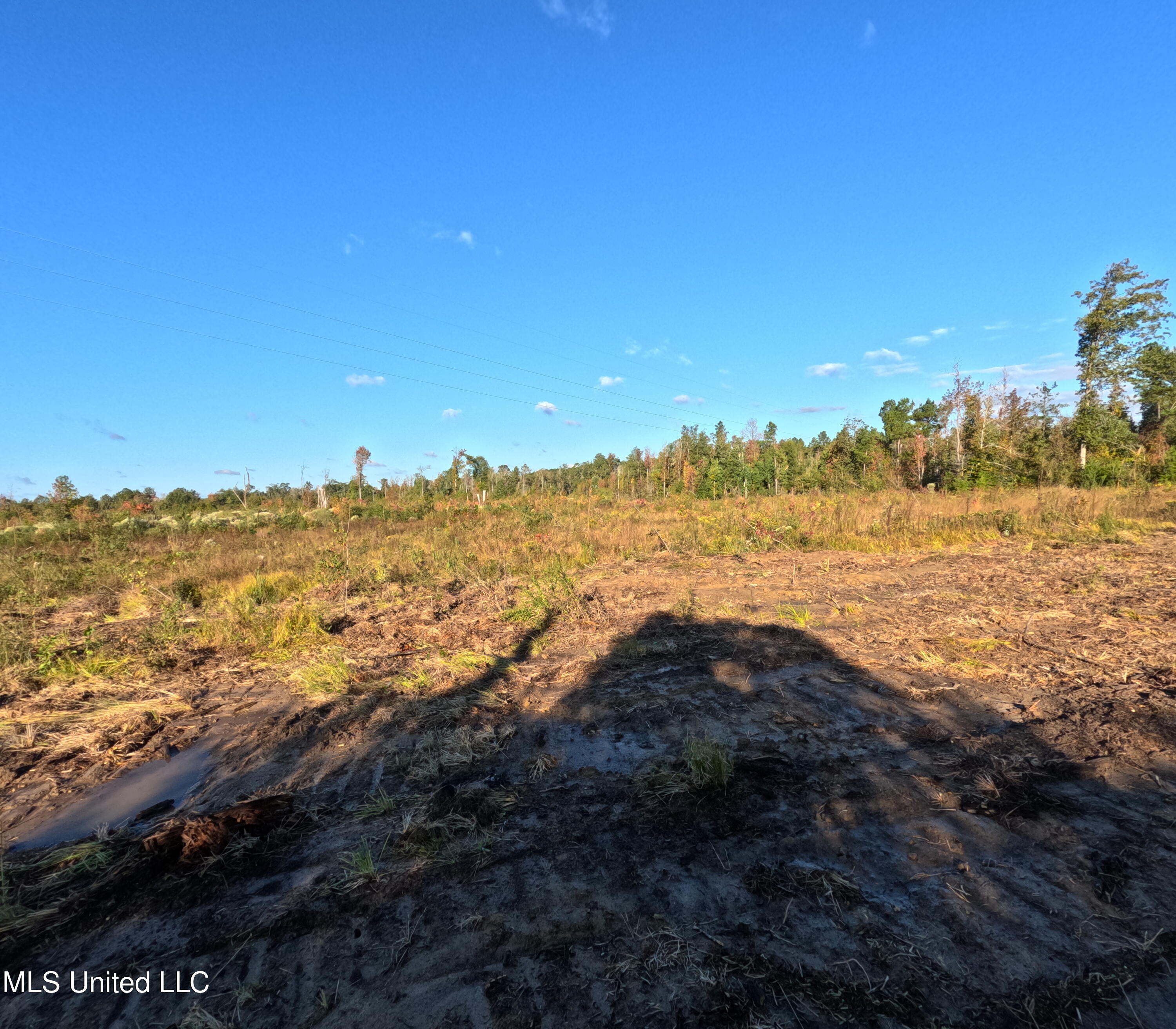 William Warren Road Property Photo 23