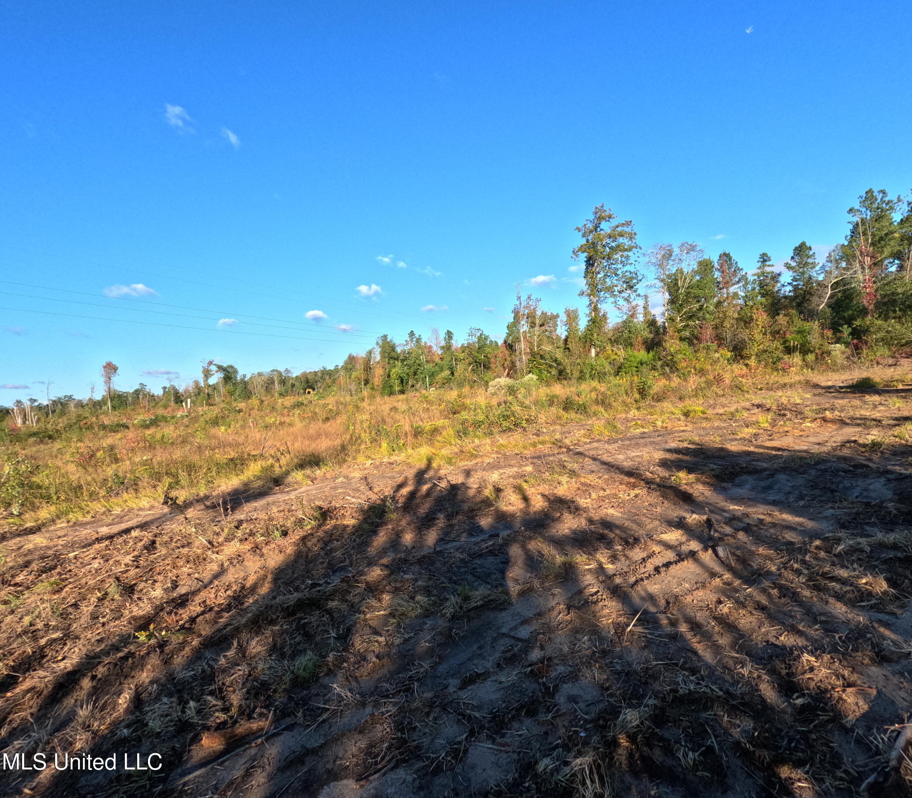 William Warren Road Property Photo 24