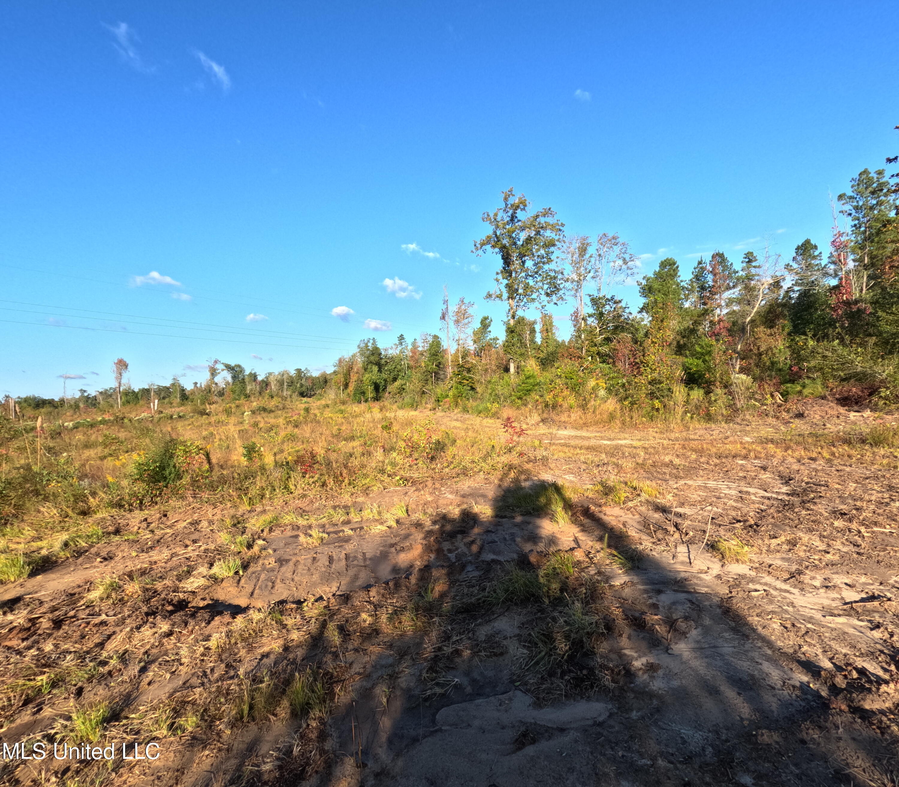 William Warren Road Property Photo 25